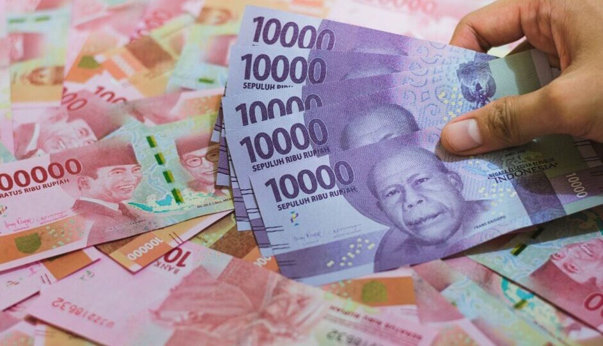 Indonesia Digest: Poultry tech startup BroilerX, fintech firm Ayoconnect raise funds