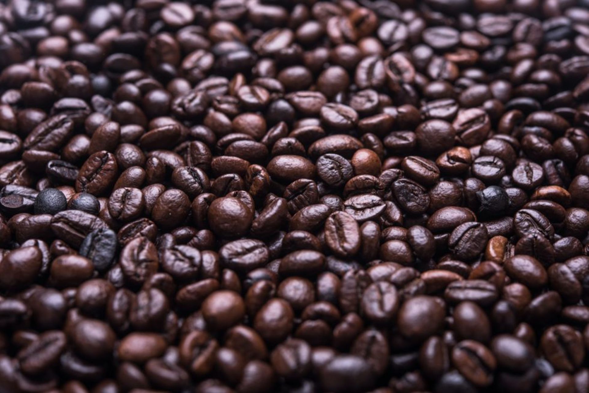 SEA Digest: Snoop Dogg to sell Indonesian coffee in US; Malaysia's EasyStore acquires SG's NovoChat