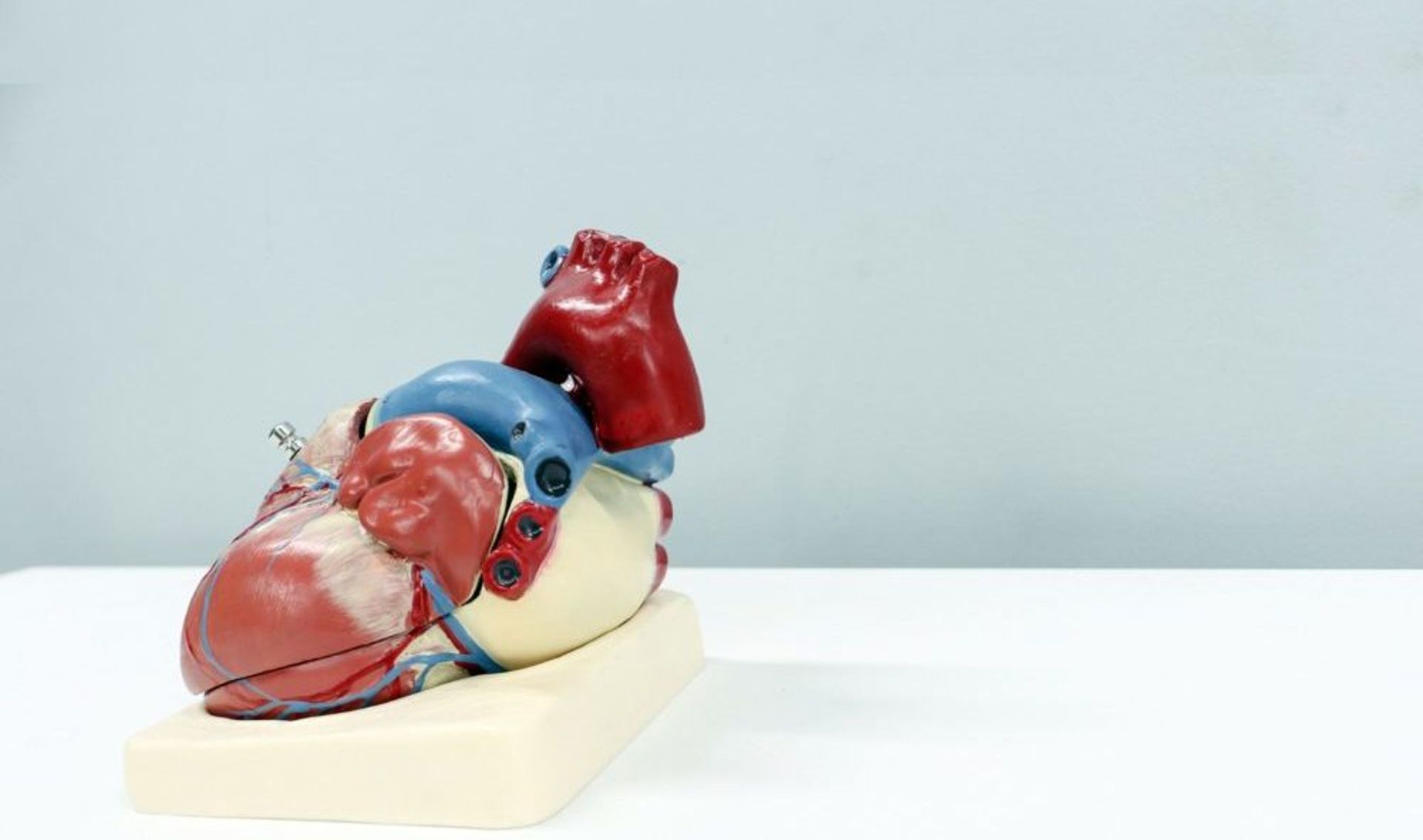 Chinese artificial heart maker Yongrenxin Medical Instrument raises $100m