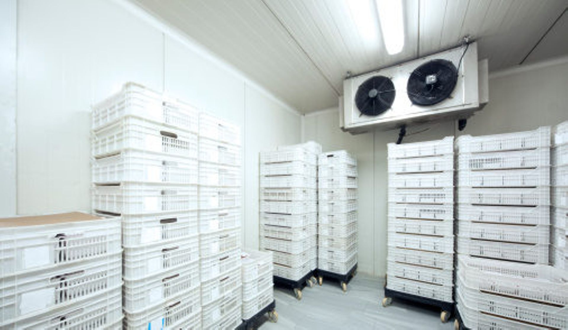 Indian cold chain platform Celcius completes $12m Series A funding round