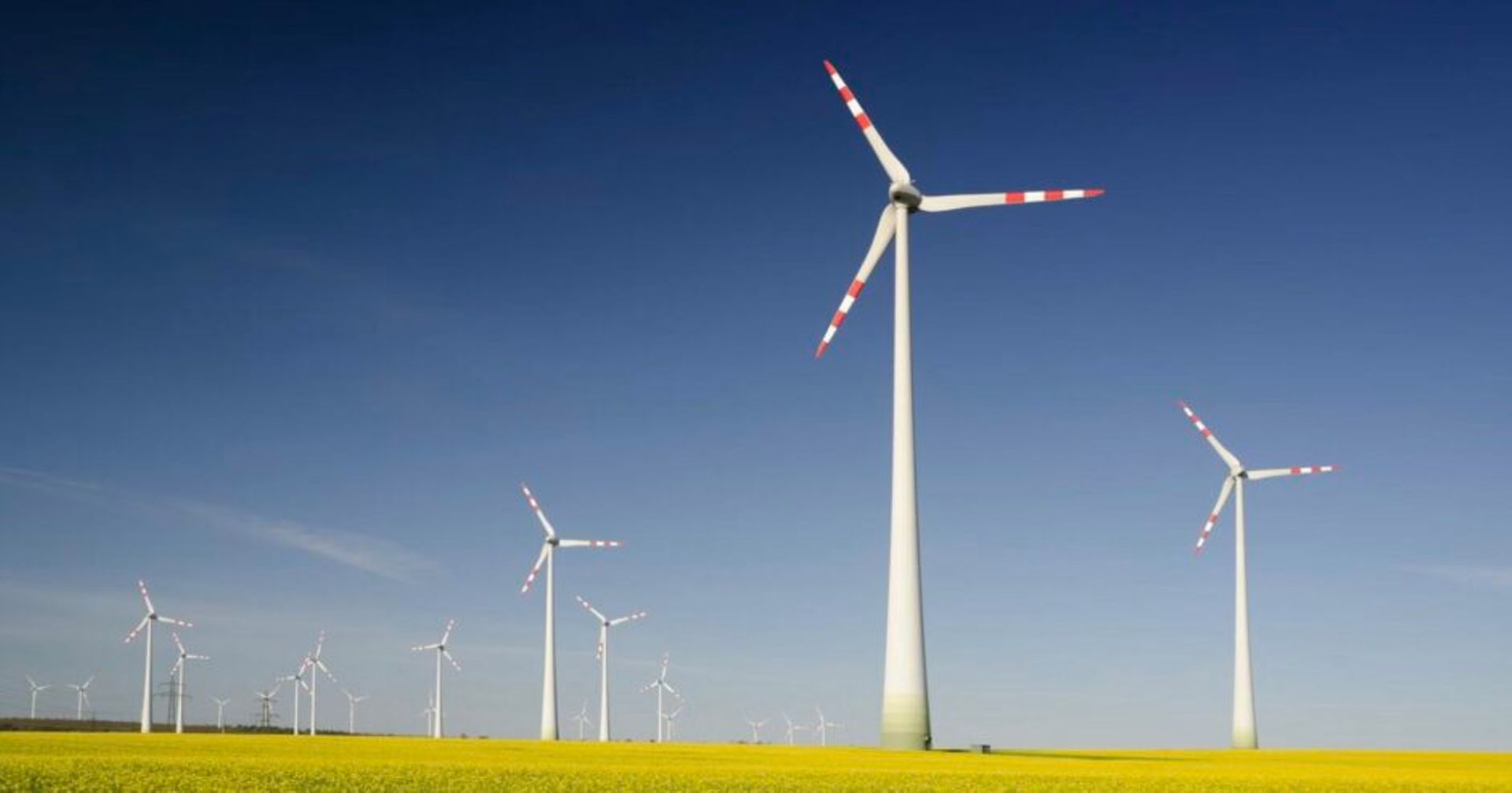 Bain to sell Japan Wind Development to construction firm Infroneer for $1.37b