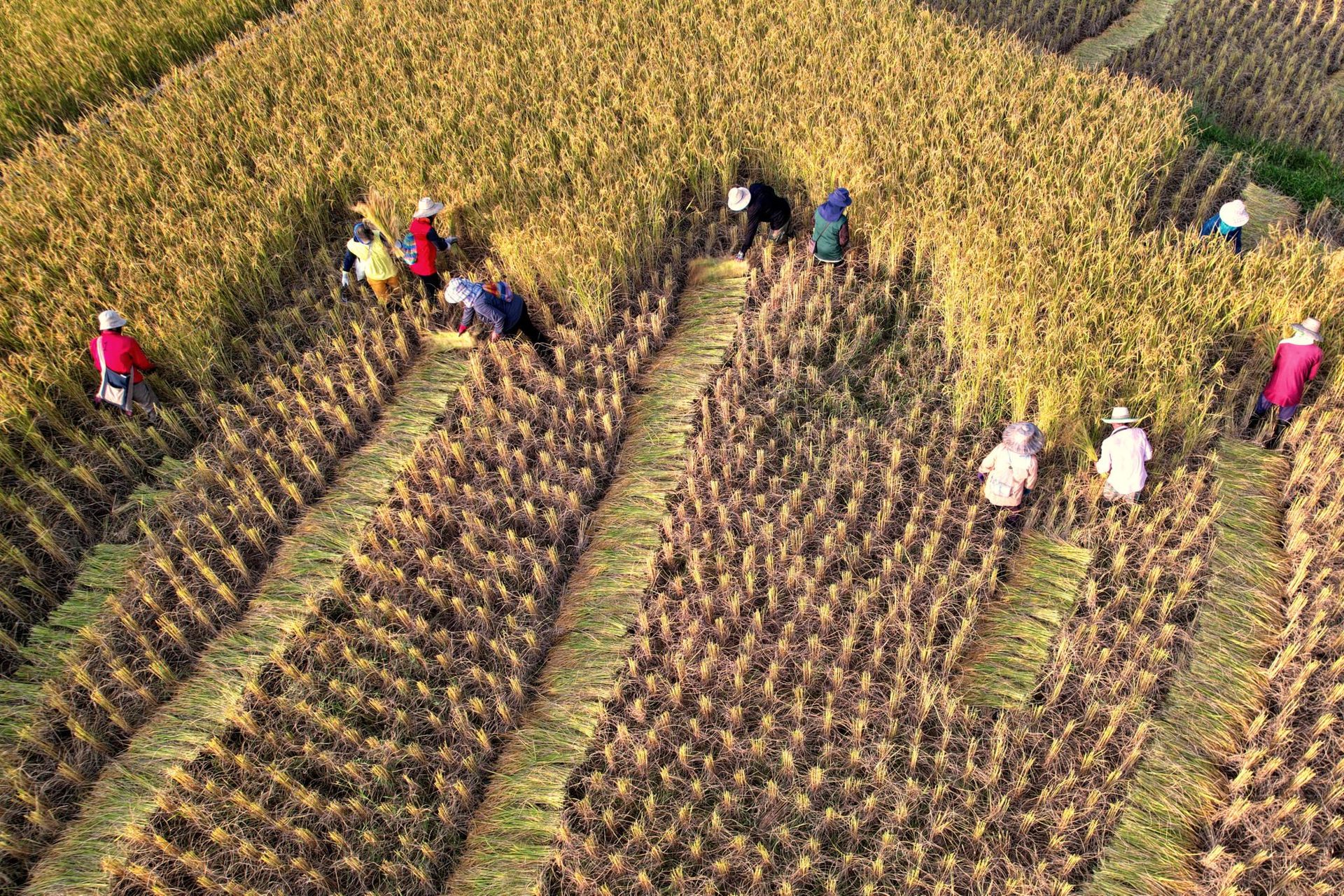 Schroders' BlueOrchard hits $50m second close of global climate insurance fund