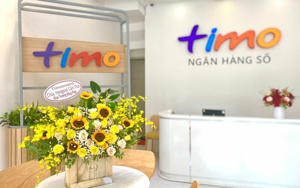 Vietnamese digital bank Timo said to have raised $10m from existing ...