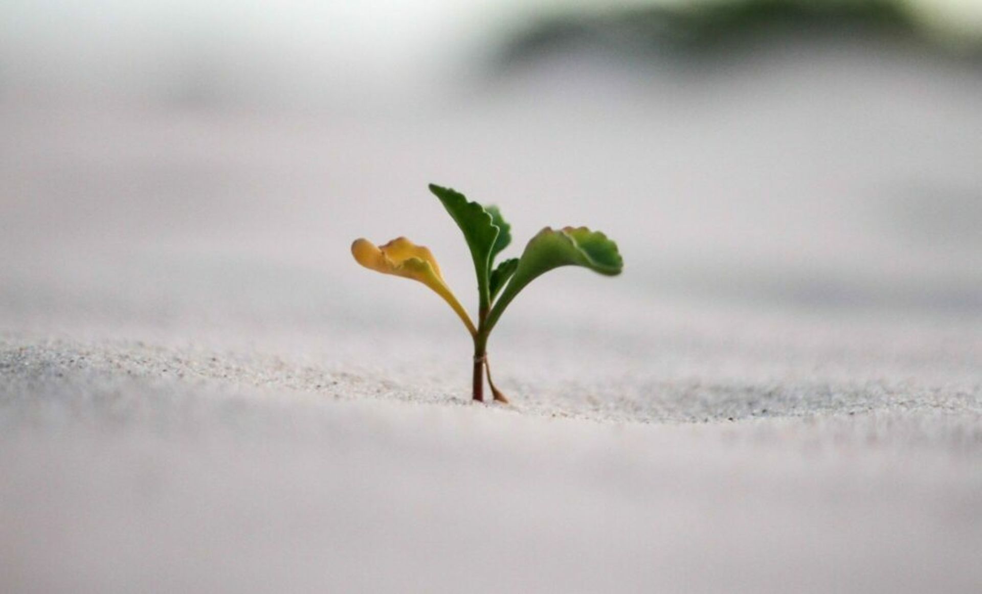 Charticle: SE Asia's funding winter has trickled down to the seed stages