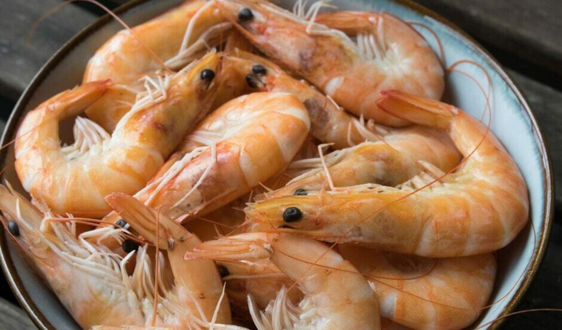 Indonesian aquatech startup JALA Tech said to be finalising new funding round