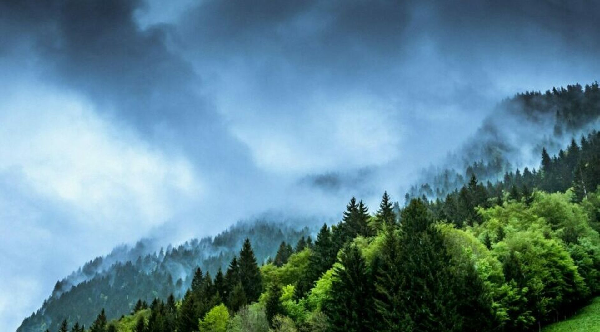Swiss asset manager Edelweiss Capital launches $150m Asia climate fund