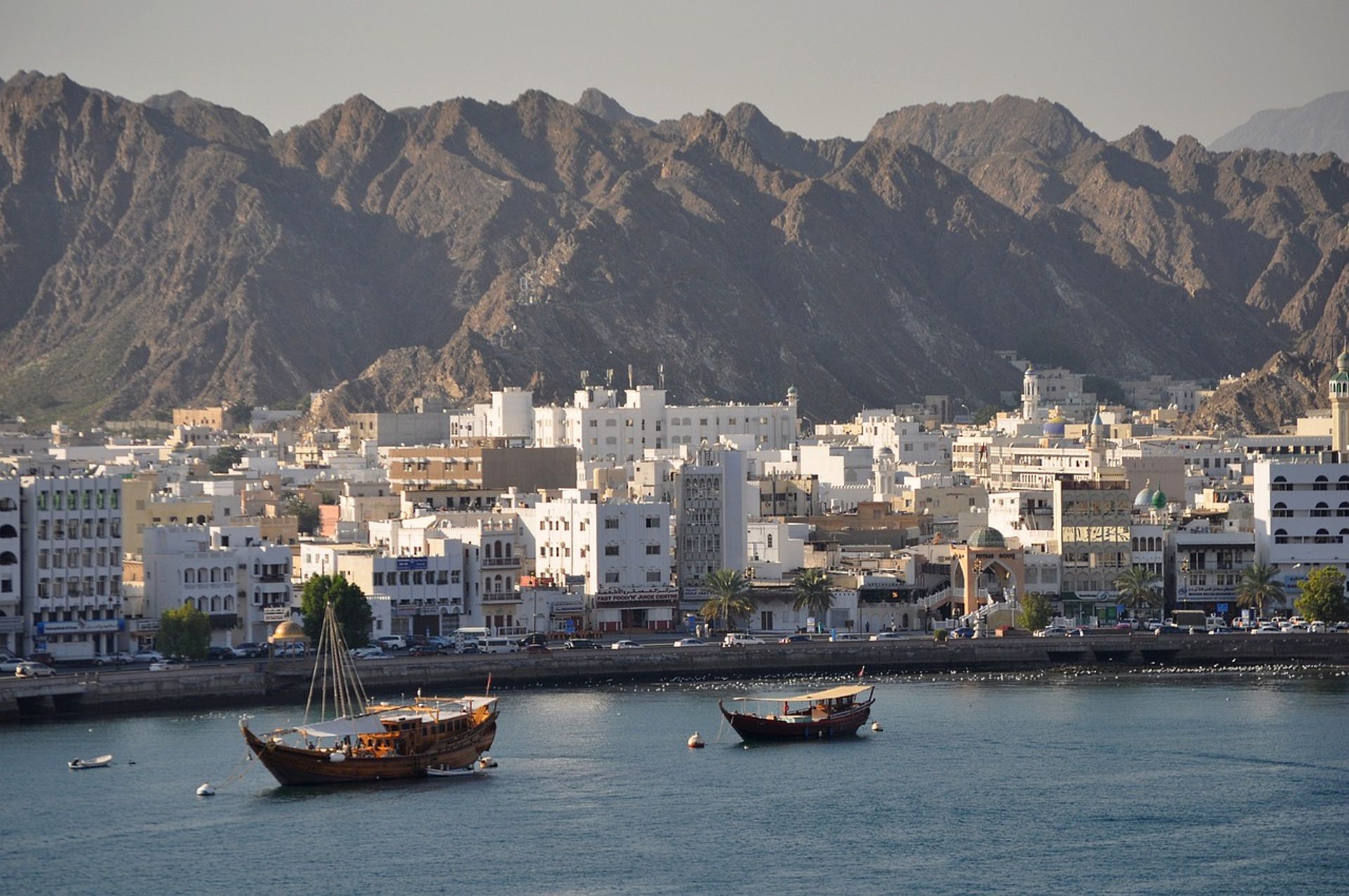 Oman Investment Authority adds 13 new funds to PE portfolio