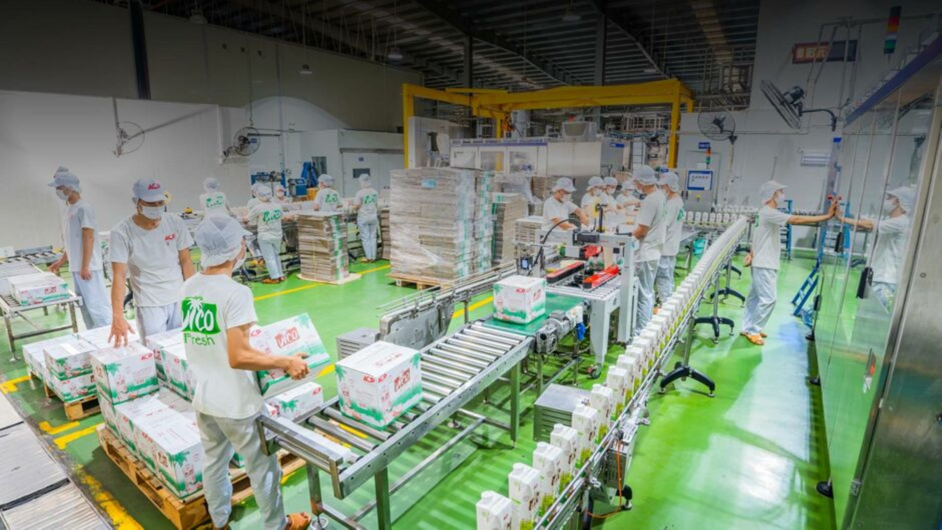 Marubeni Growth Capital Asia invests in Vietnamese food firm AIG