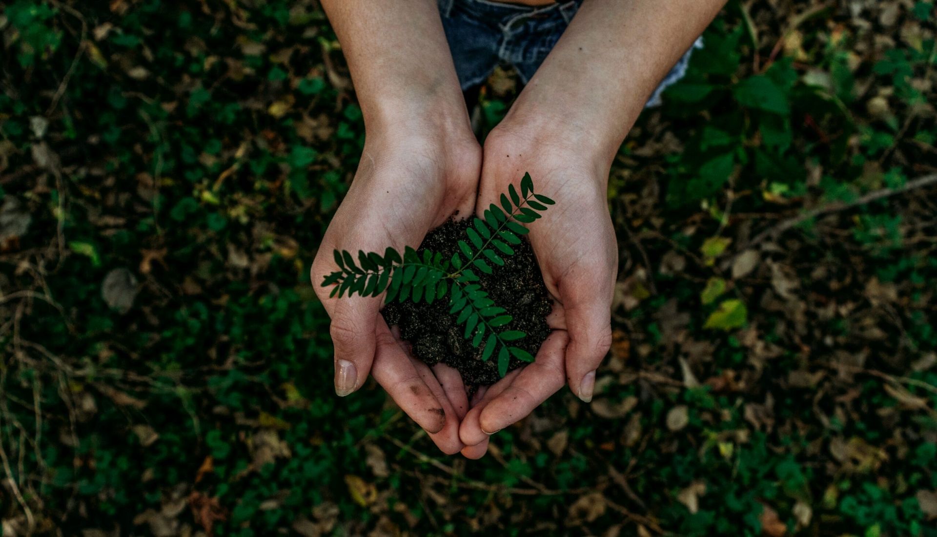 The LP View: SE Asian fund managers have realised the benefits of meeting ESG standards