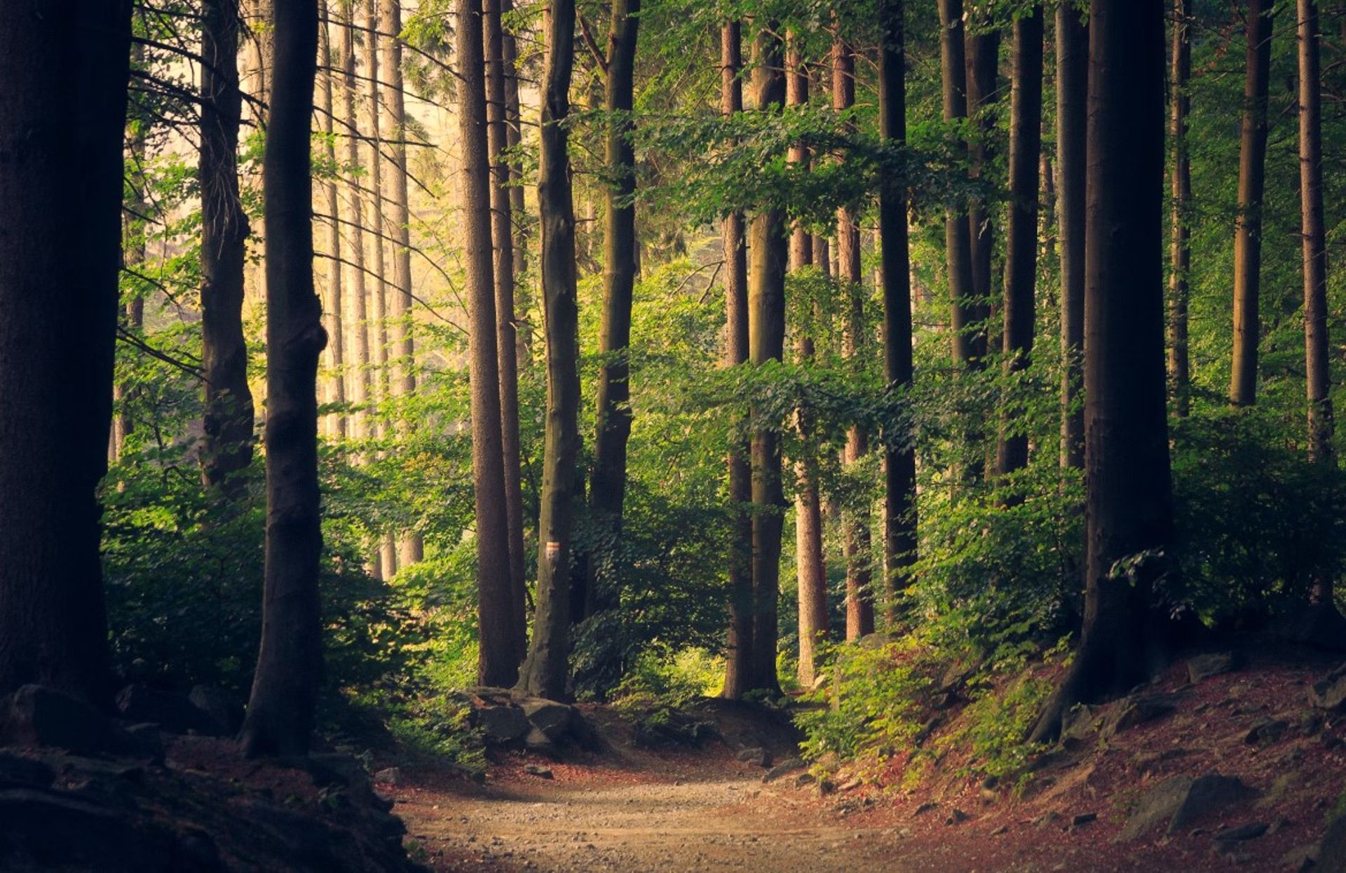SG climate-tech platform Thryve.Earth secures $2.6m seed funding