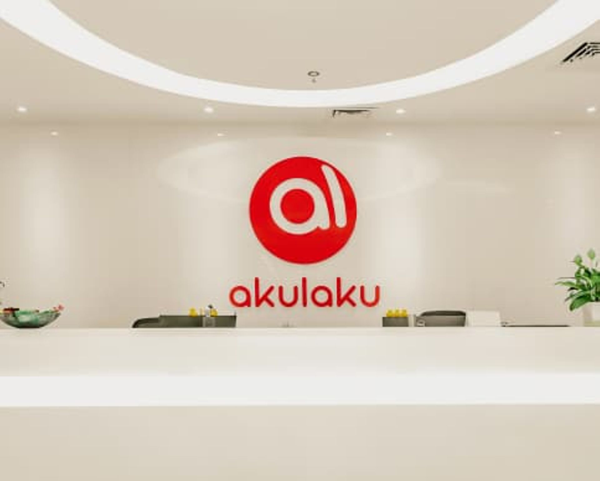 Akulaku's net profit nearly halves in 2024 despite higher revenue