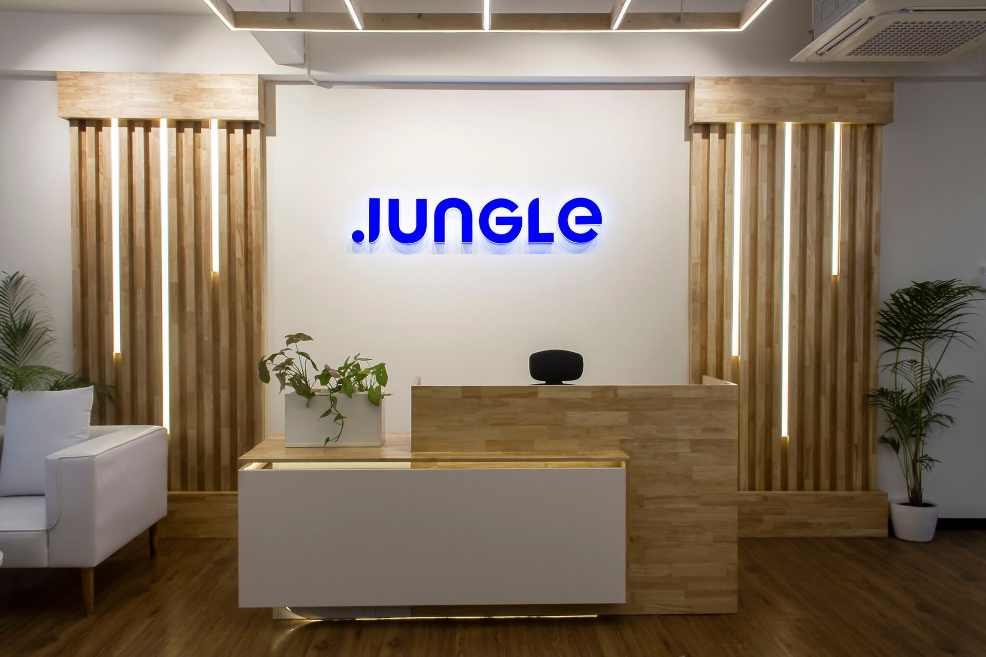 IFC mulls $30m investment in SG's Jungle Ventures's fifth fund