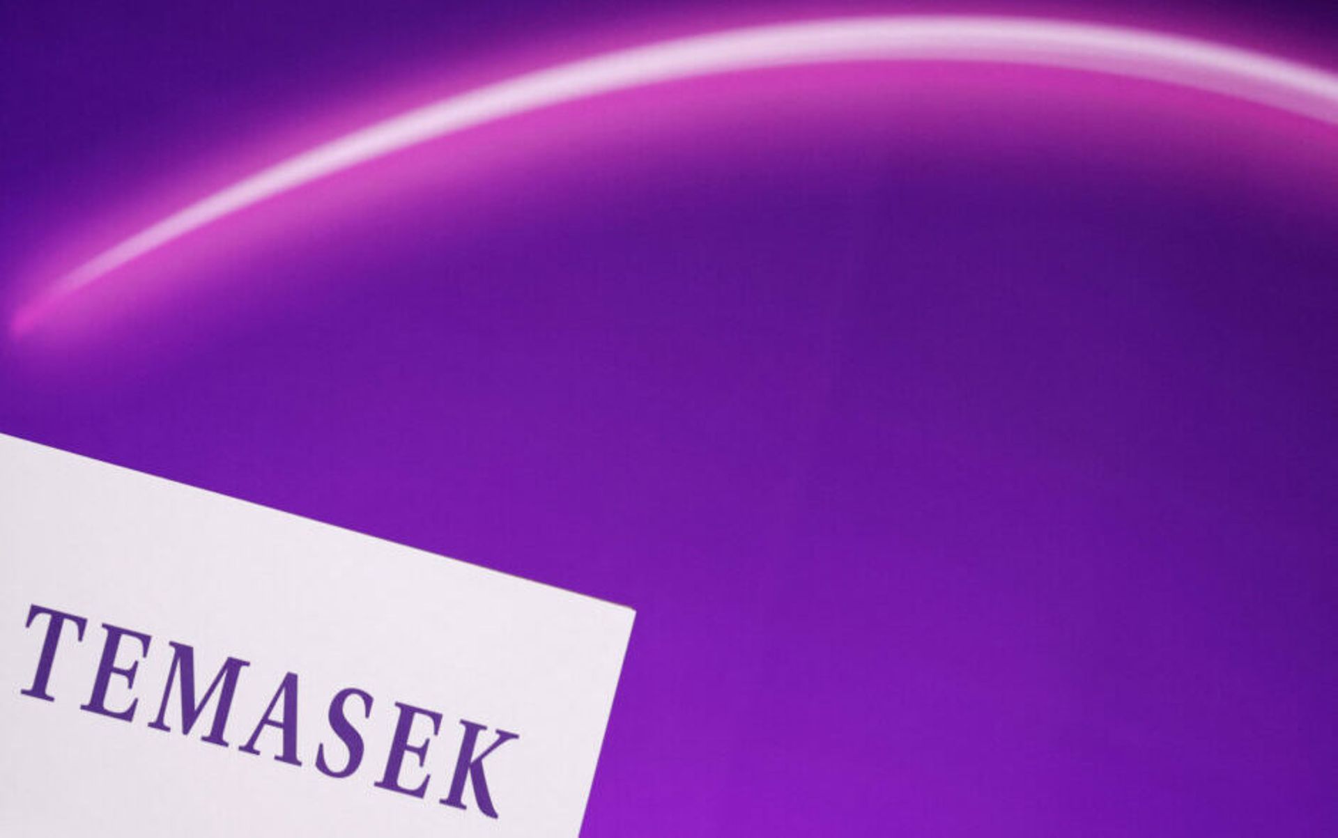 Temasek doesn't rule out fossil fuel investments on road to net zero