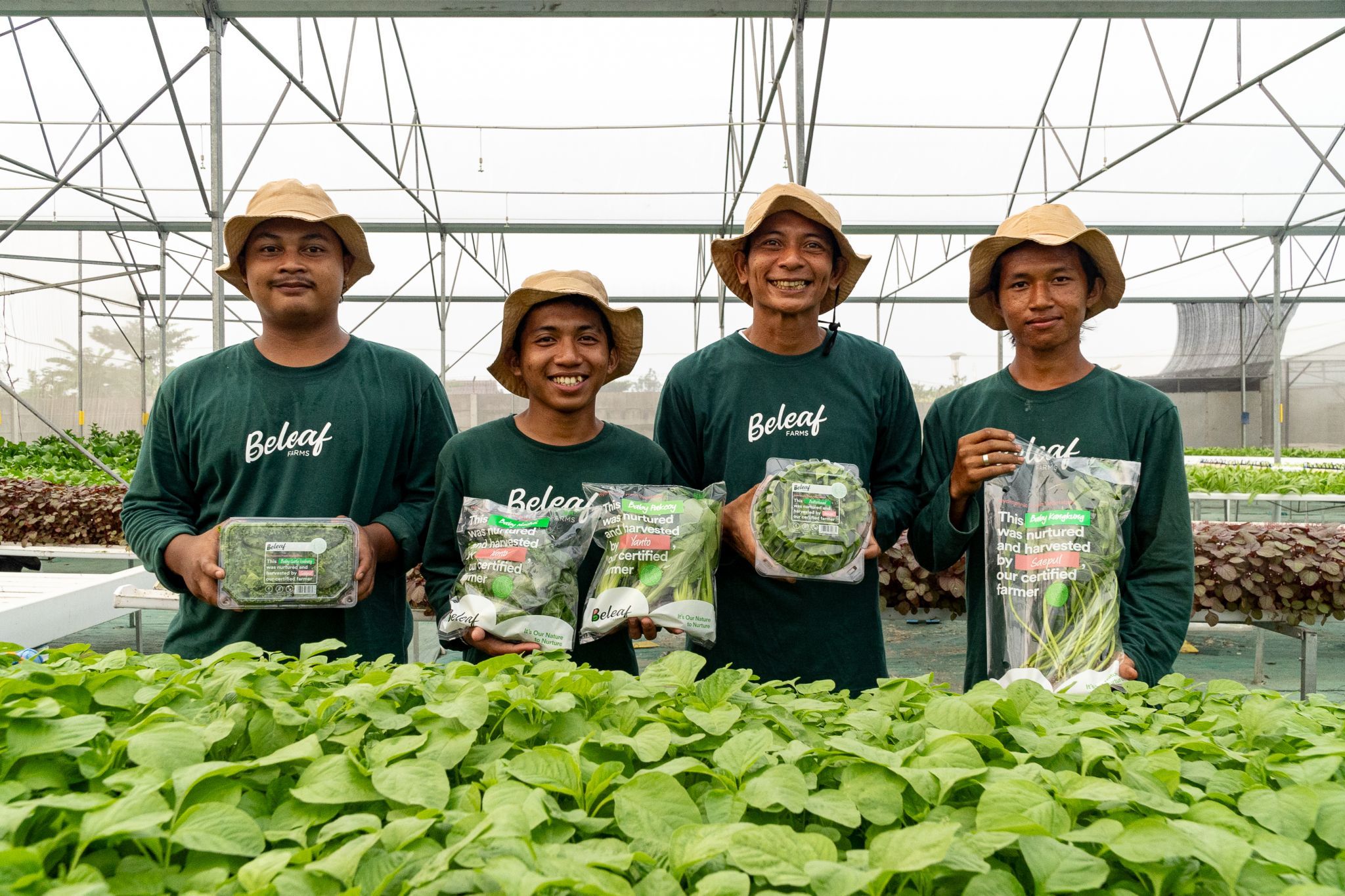 Indonesian agritech Beleaf raises capital, further trims headcount