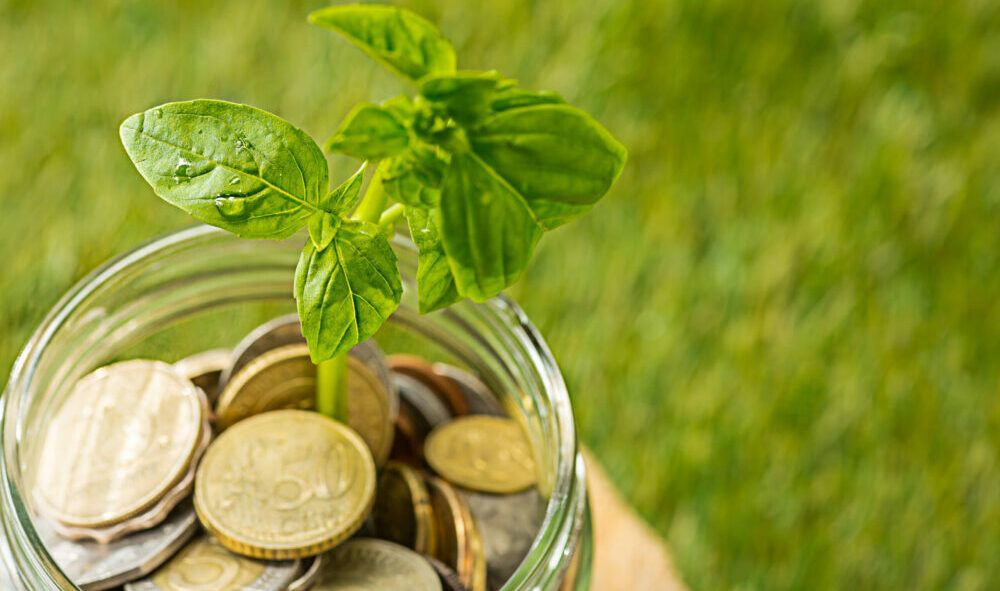 TrueFan AI secures $10M in fresh funding led by Baring Private Equity Partners India and Z3Partners.
