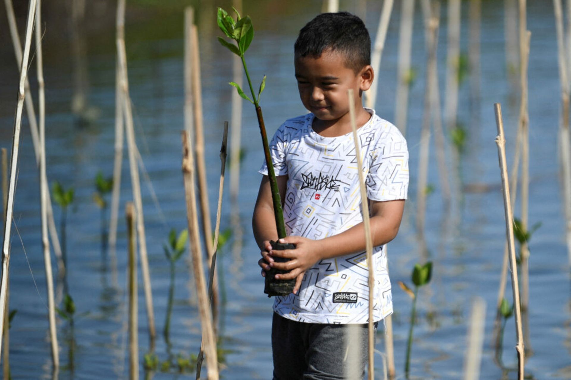 Indonesia plans $65b green fund from selling carbon credits by 2028