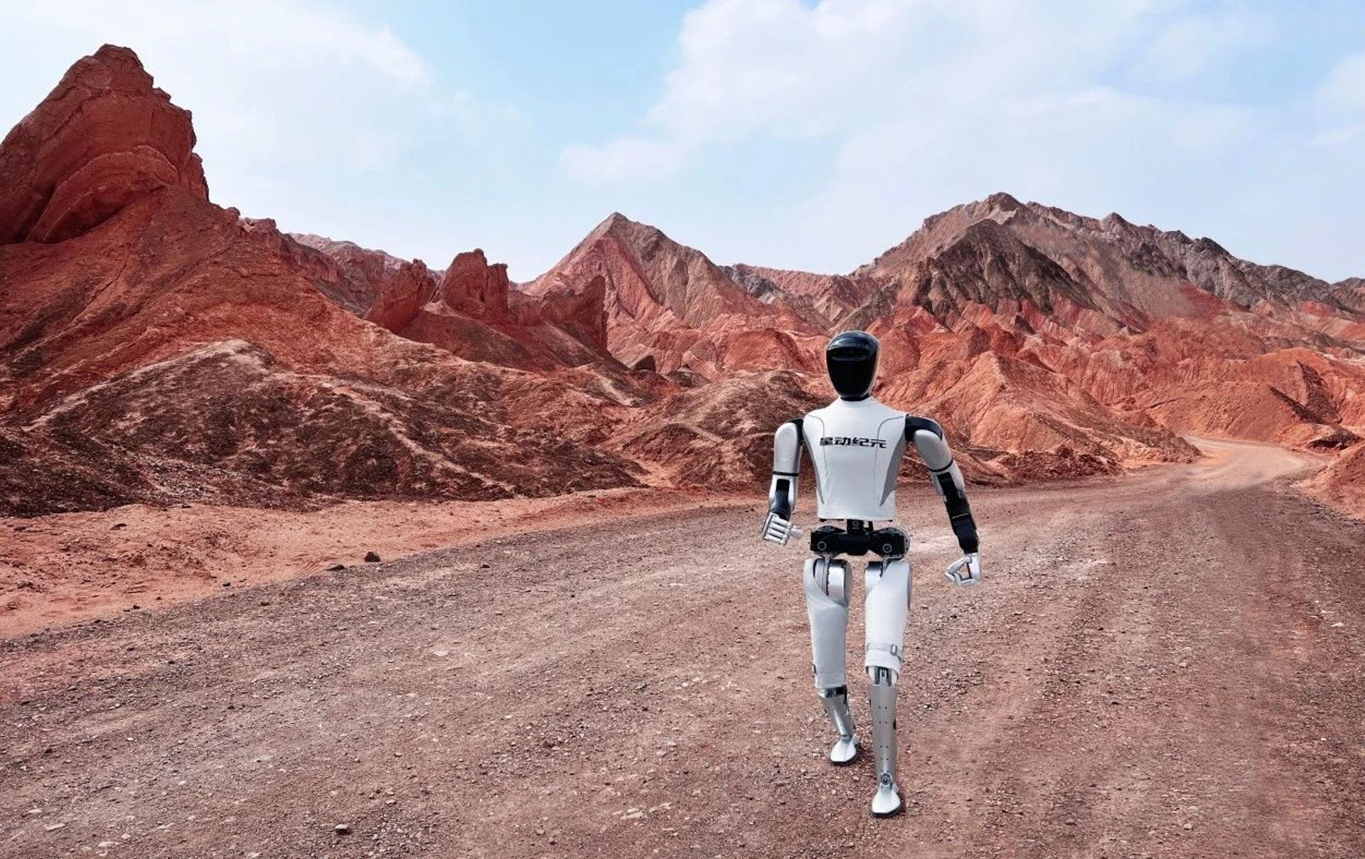 China’s humanoid robot makers face a reality check