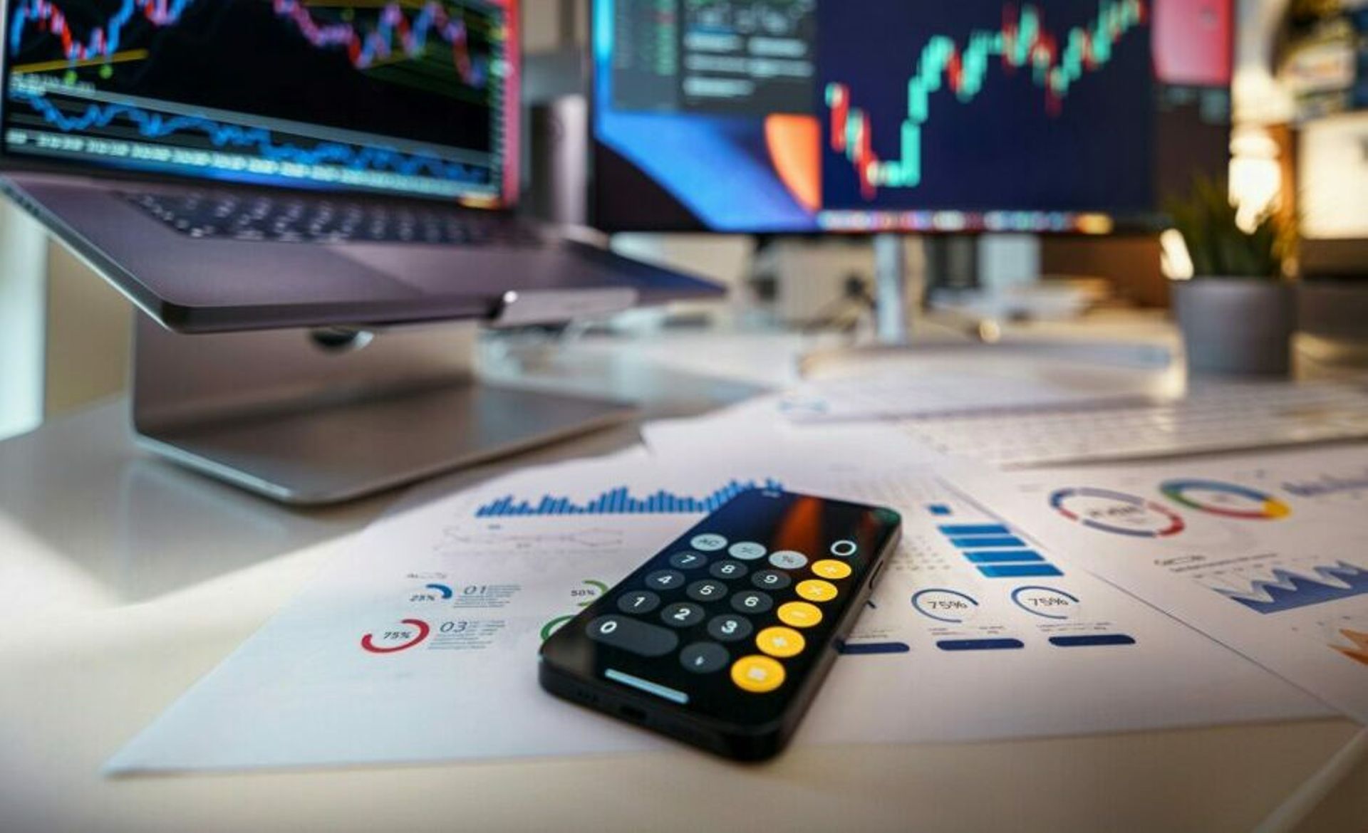 Profit amid crisis: How SE Asian startups thrived through reforms