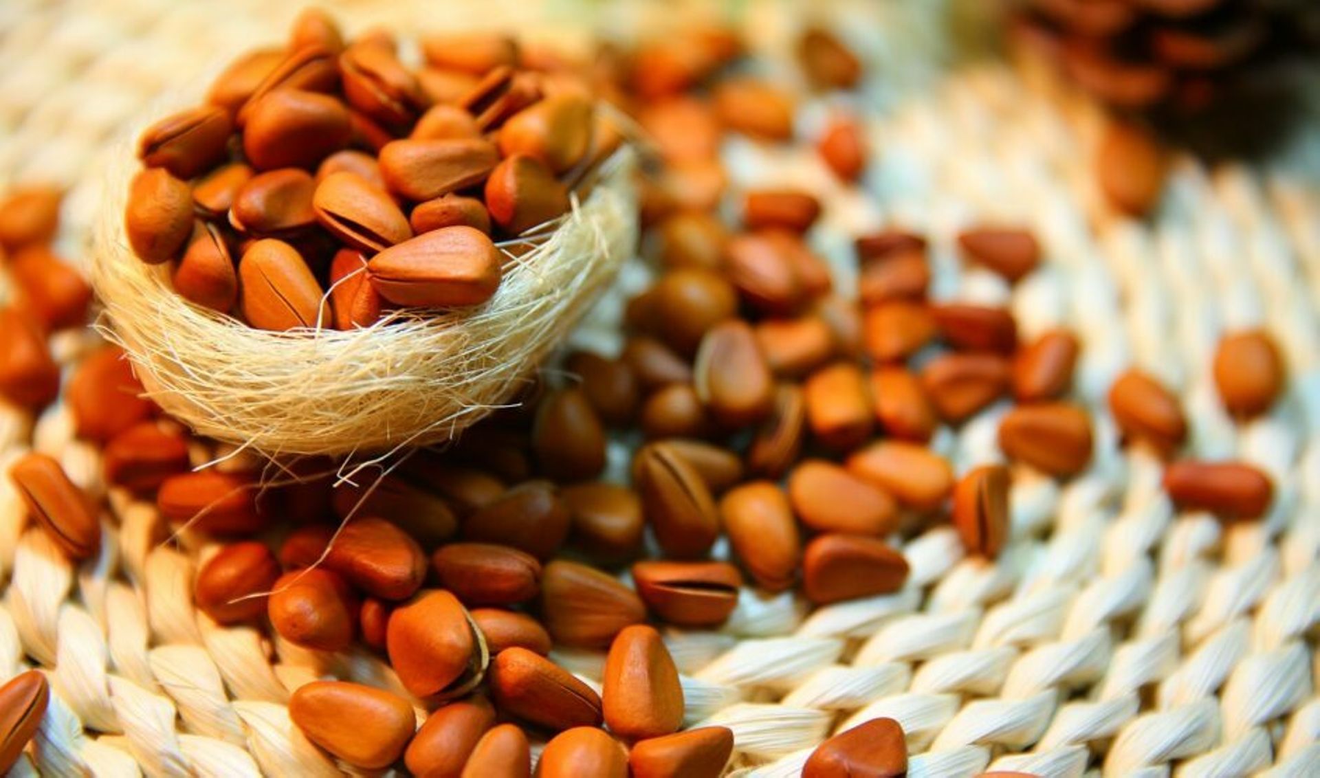 India's Omnivore in talks to re-up in healthy snacking brand Farmley