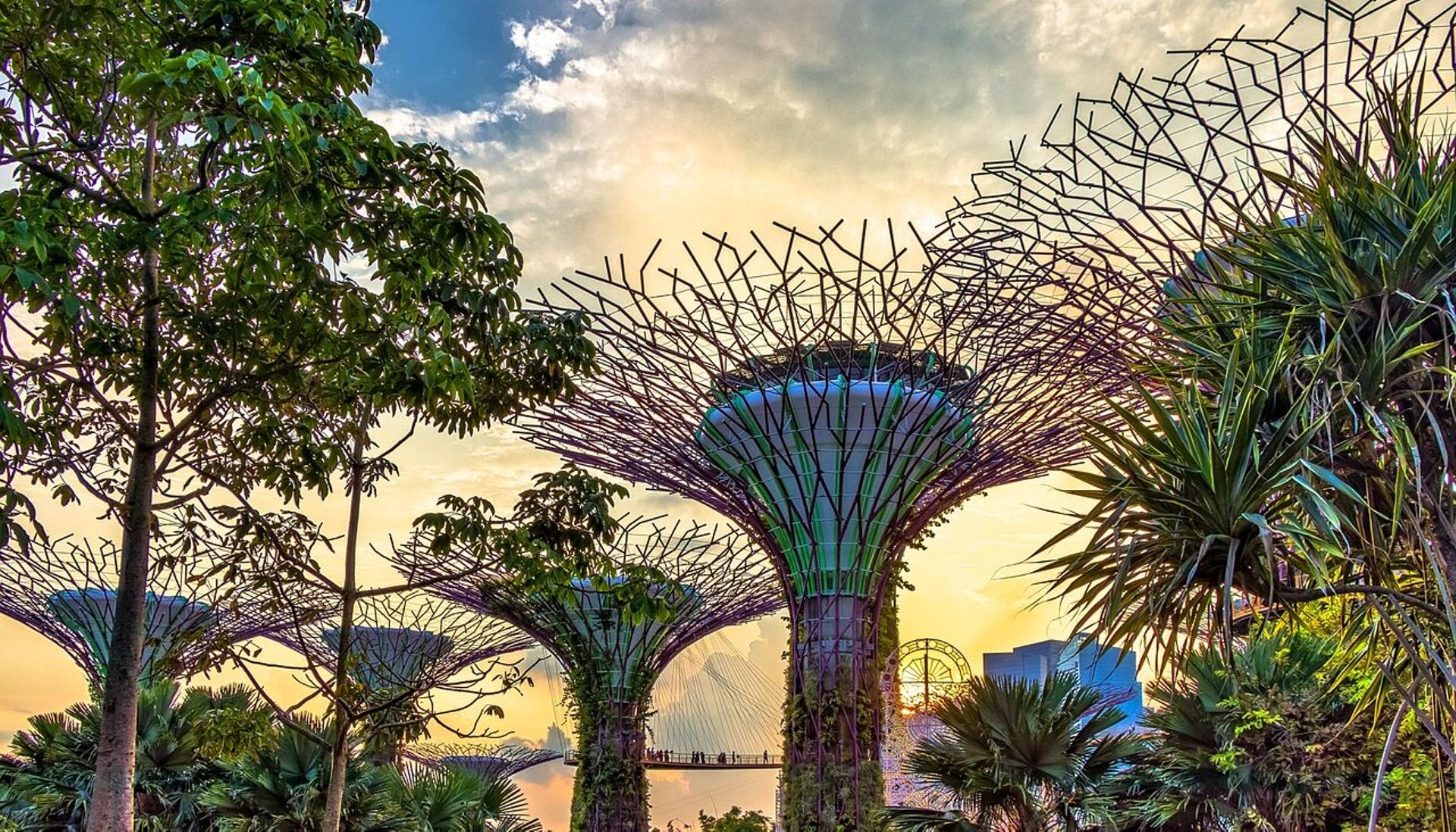 SG Digest: Veremark acquires RMI; SC Ventures leads TruFin funding