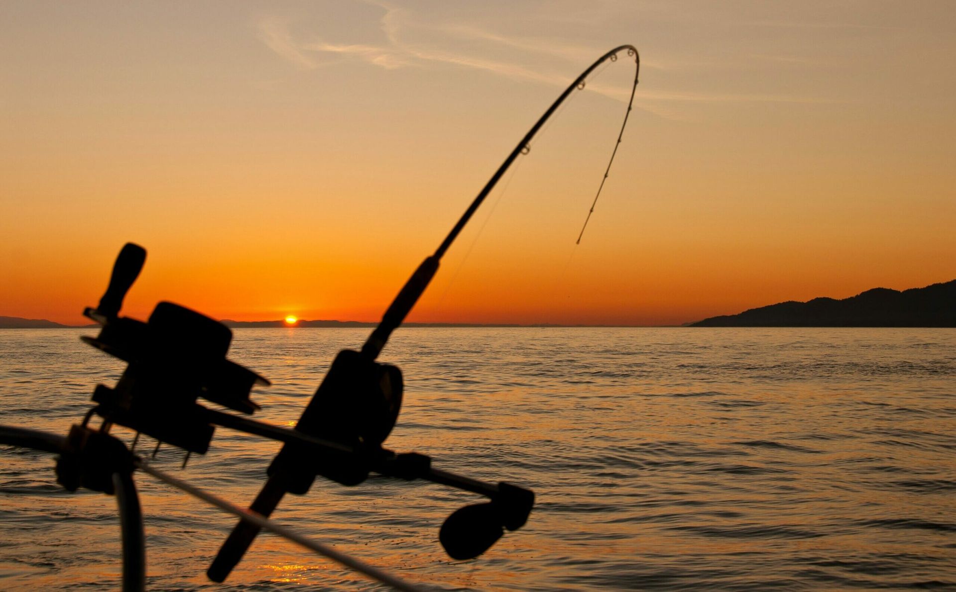 Japanese fishing gear maker Megabass partners L Catterton, eyes expansion