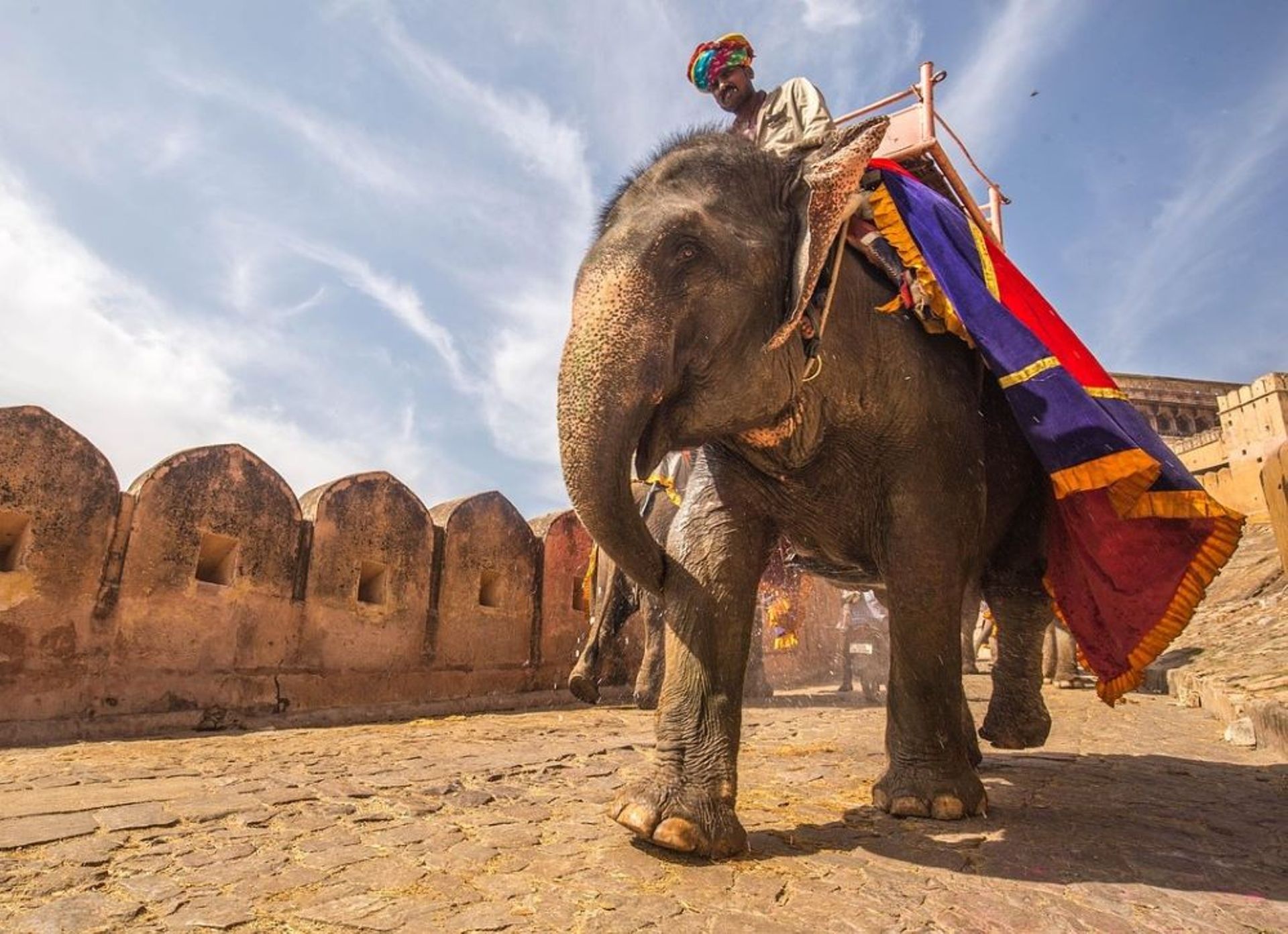 India Deal Review: Startup fundraising hits 7-month high in Jan