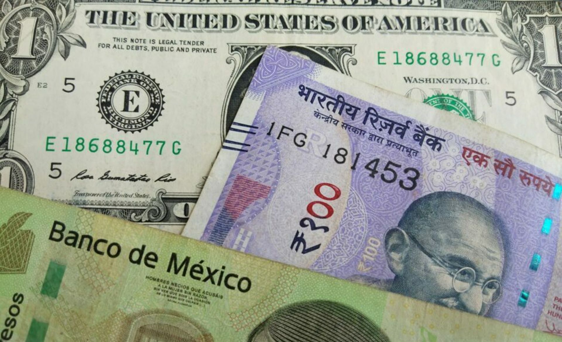 Indian startups with overseas ambitions catch investor dollars