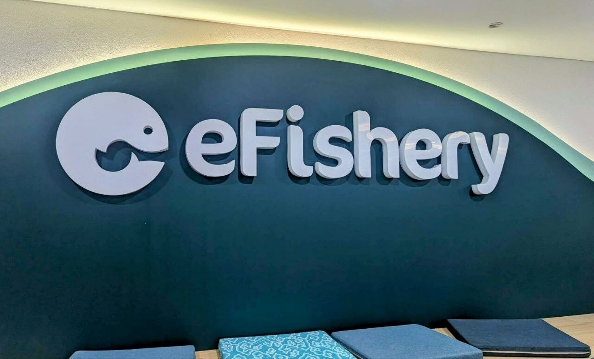 Northstar provides safeguard to Ares on eFishery exposure