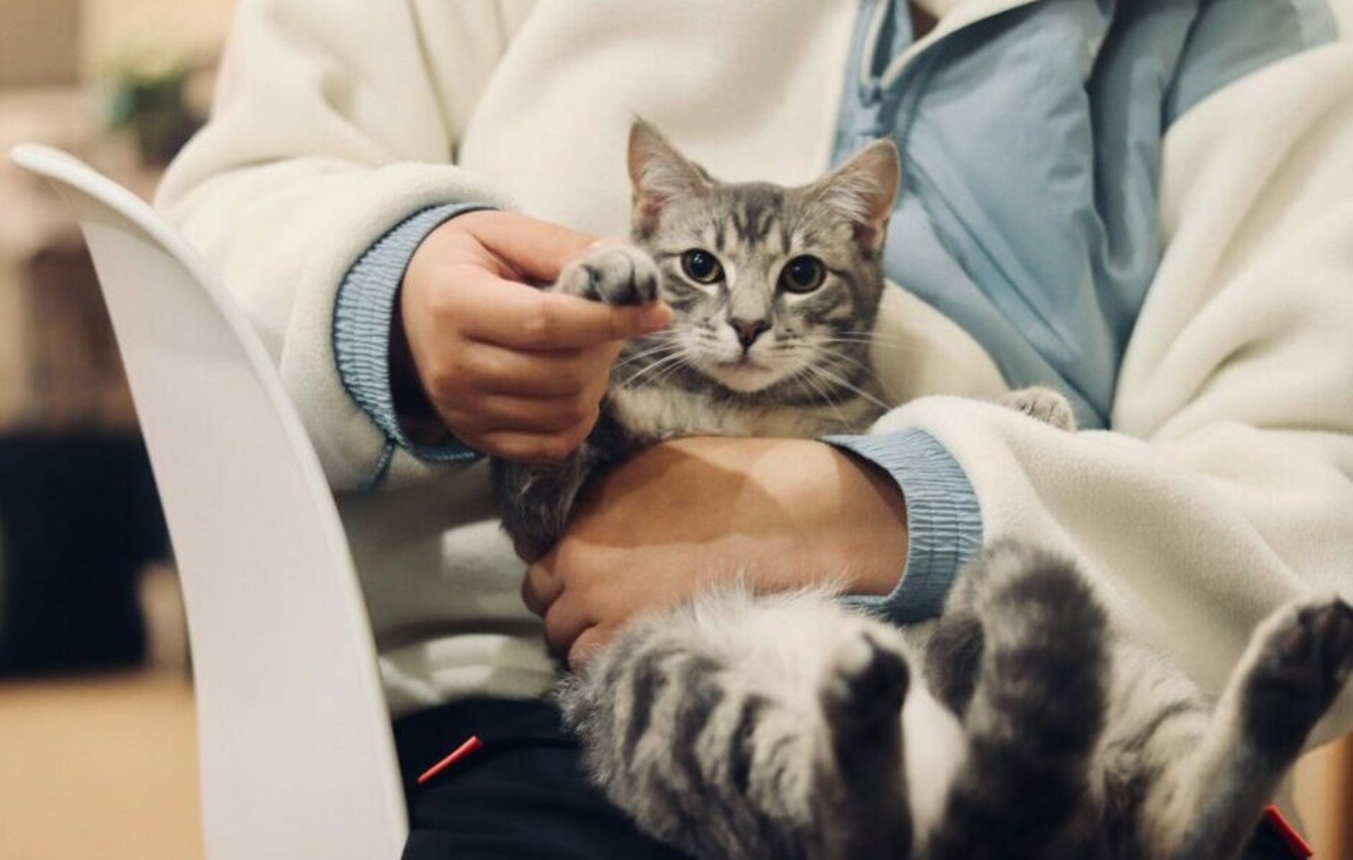 Temasek, HOPU Investments re-up in French animal health firm Ceva