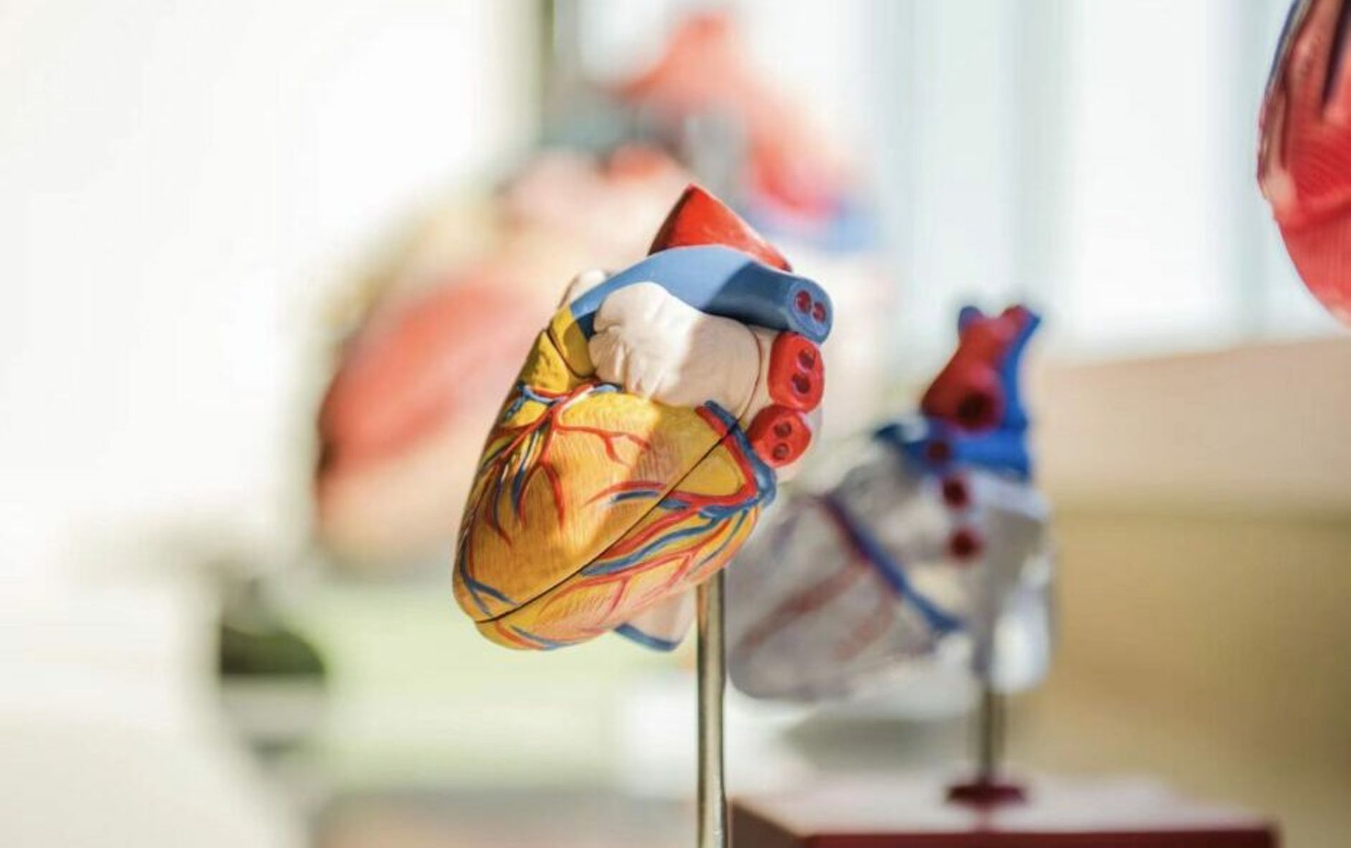 Qiming, LAV co-lead $100m Series C in medical devices maker Pulnovo