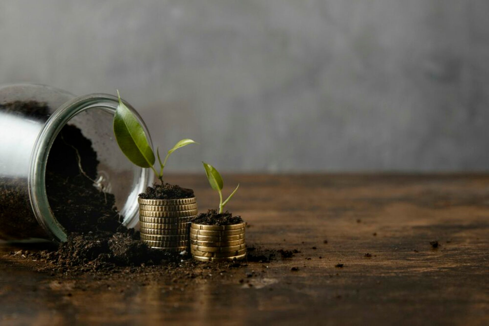 Fewer, larger cheques: India’s seed-stage investors opt for conviction over volume