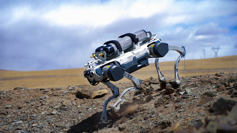 DEEP Robotics, RobotEra pocket fresh funds amid China's embodied intelligence frenzy