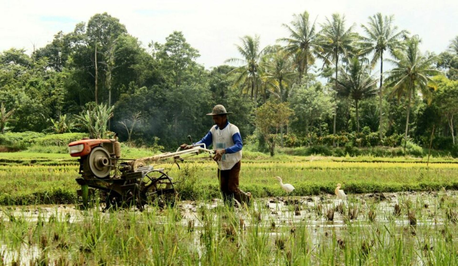 Fake projects, shell vendors: How CROWDE allegedly funnelled $50m in loans