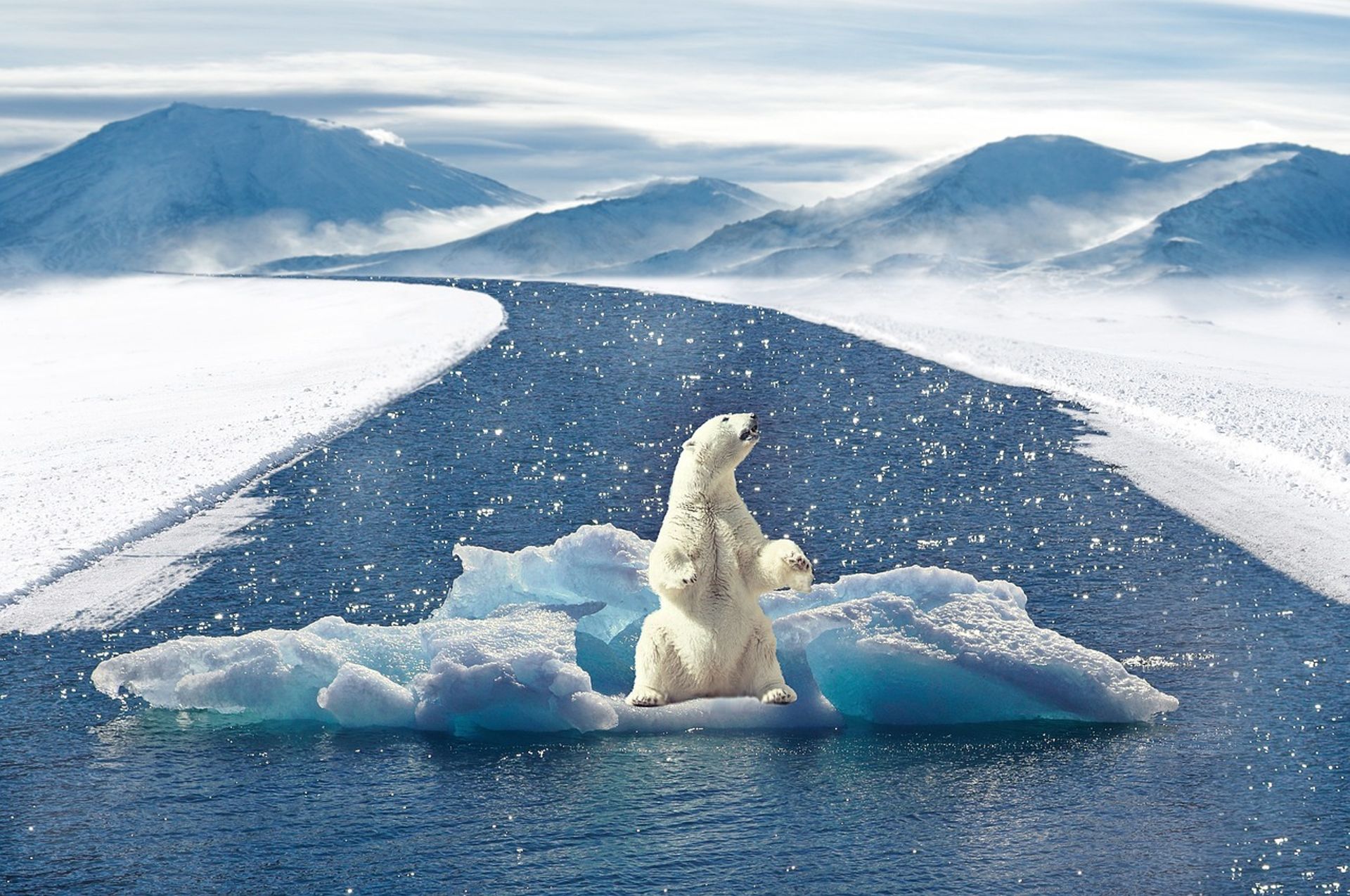 Climate private equity fund returns are finally catching up