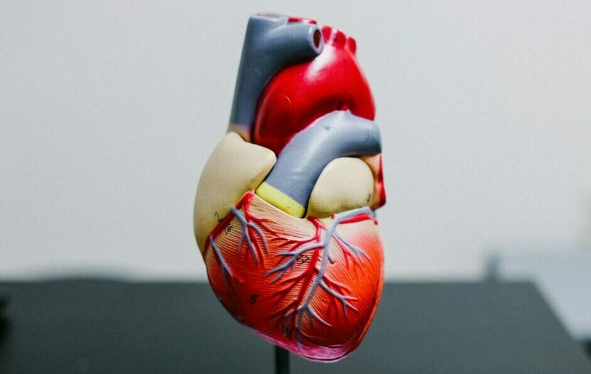 Chinese medical devices startup BrioHealth Solutions bags $100m