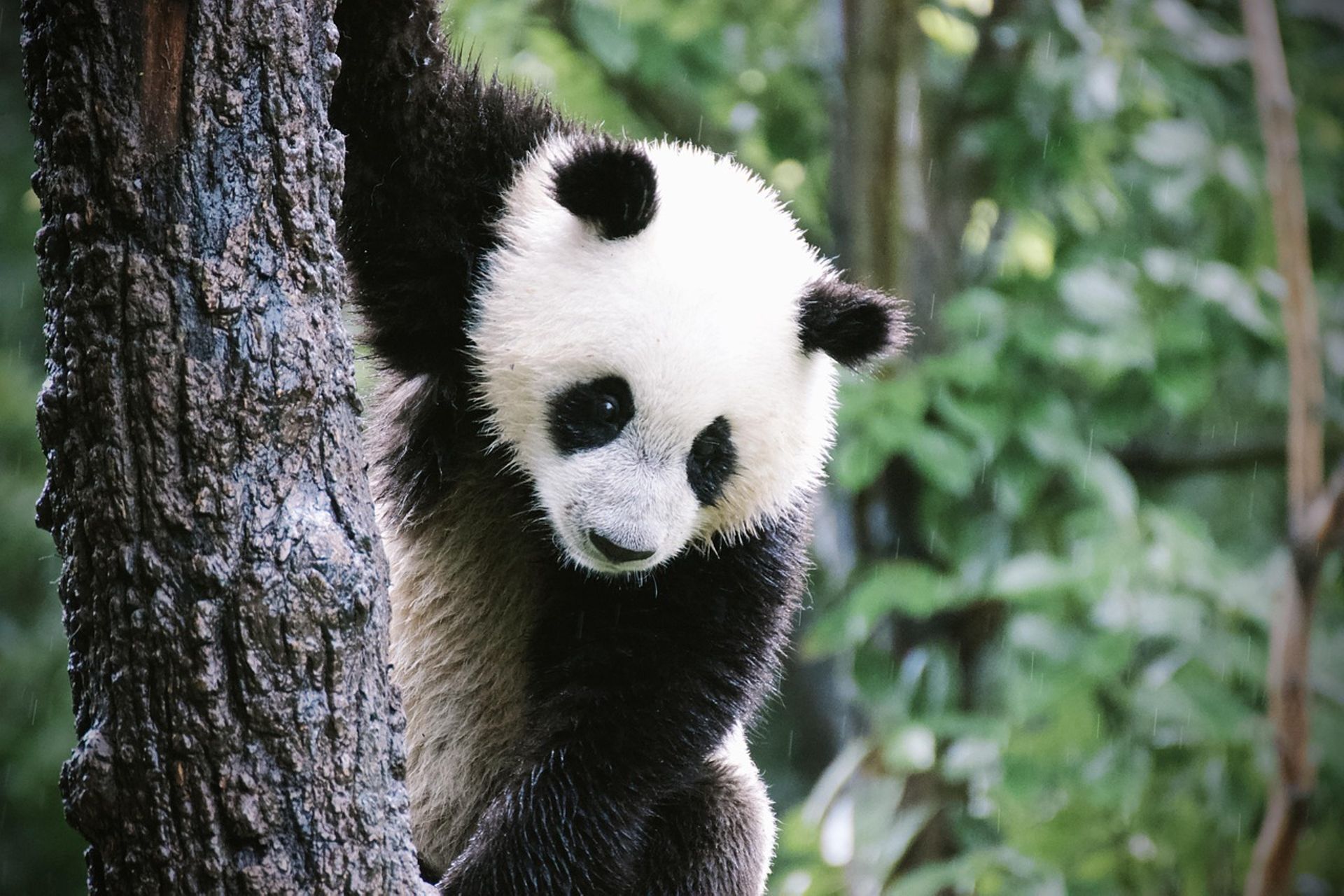 Startup funding in Greater China grows 13% in Q2 on Ximalaya's $2.4b deal