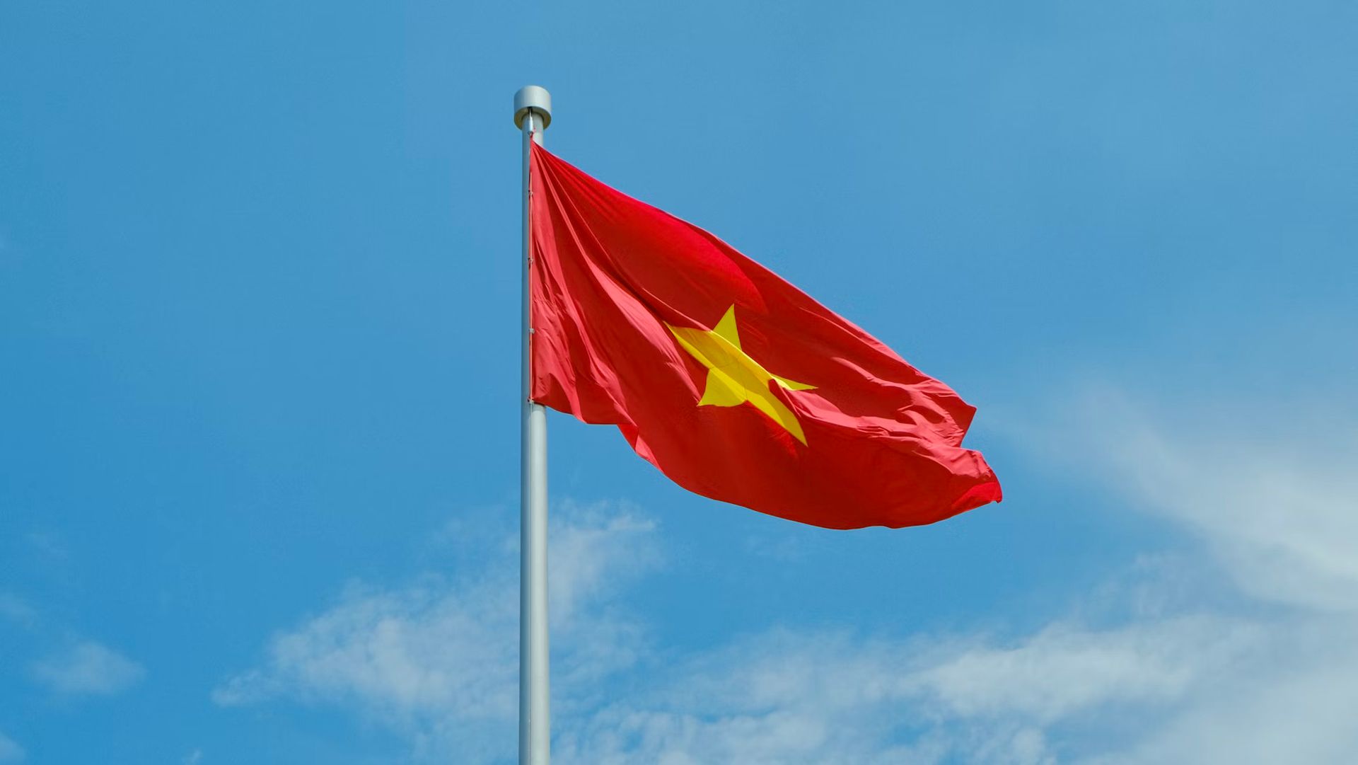 Vietnam's Tasco aims to set up CVC arm to invest in startups