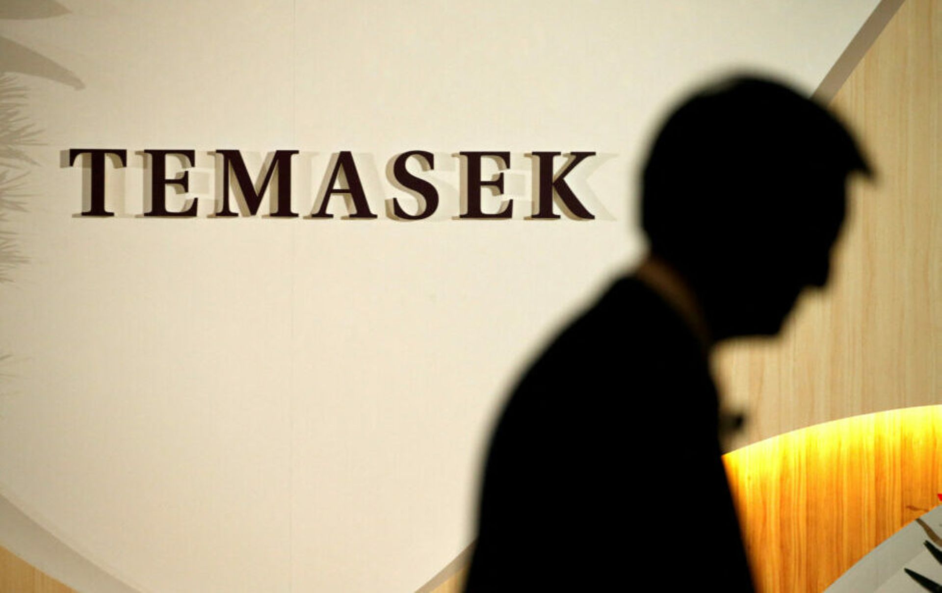 Temasek leads $300m funding round in British startup PhysicsX