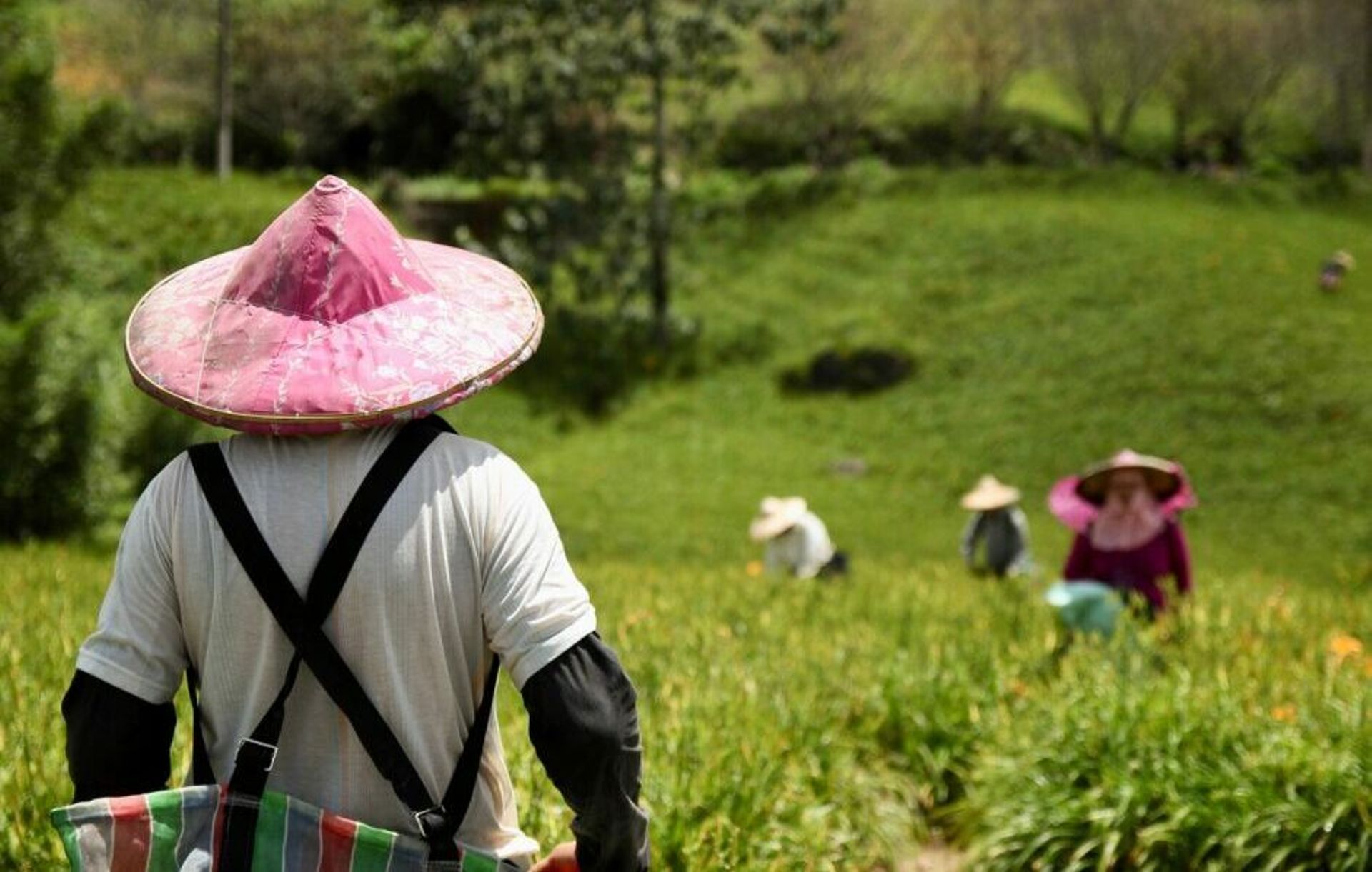 Court names three TaniHub subsidiaries as suspects in graft probe