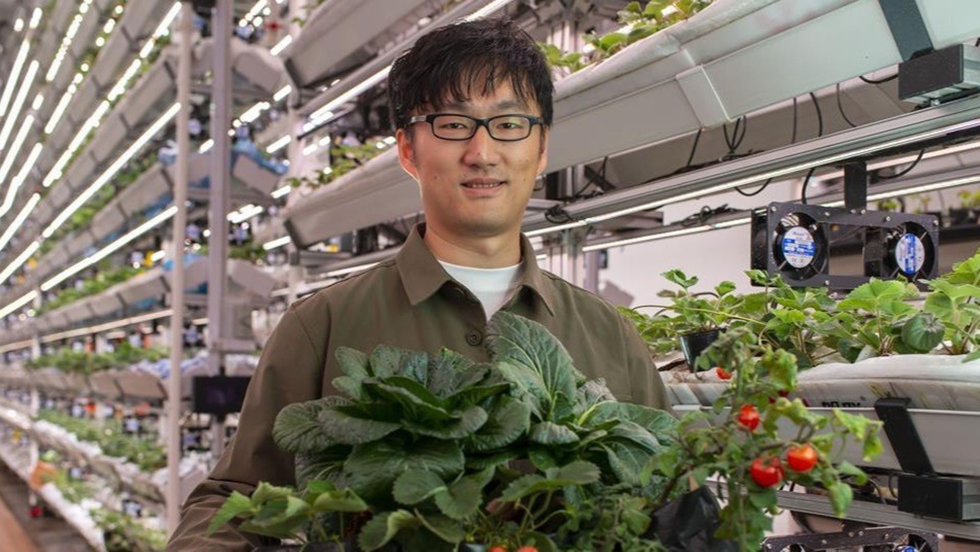 SEA Digest: SG’s agritech Singrow raises $4.5m; NusaTrip's IPO on Nasdaq