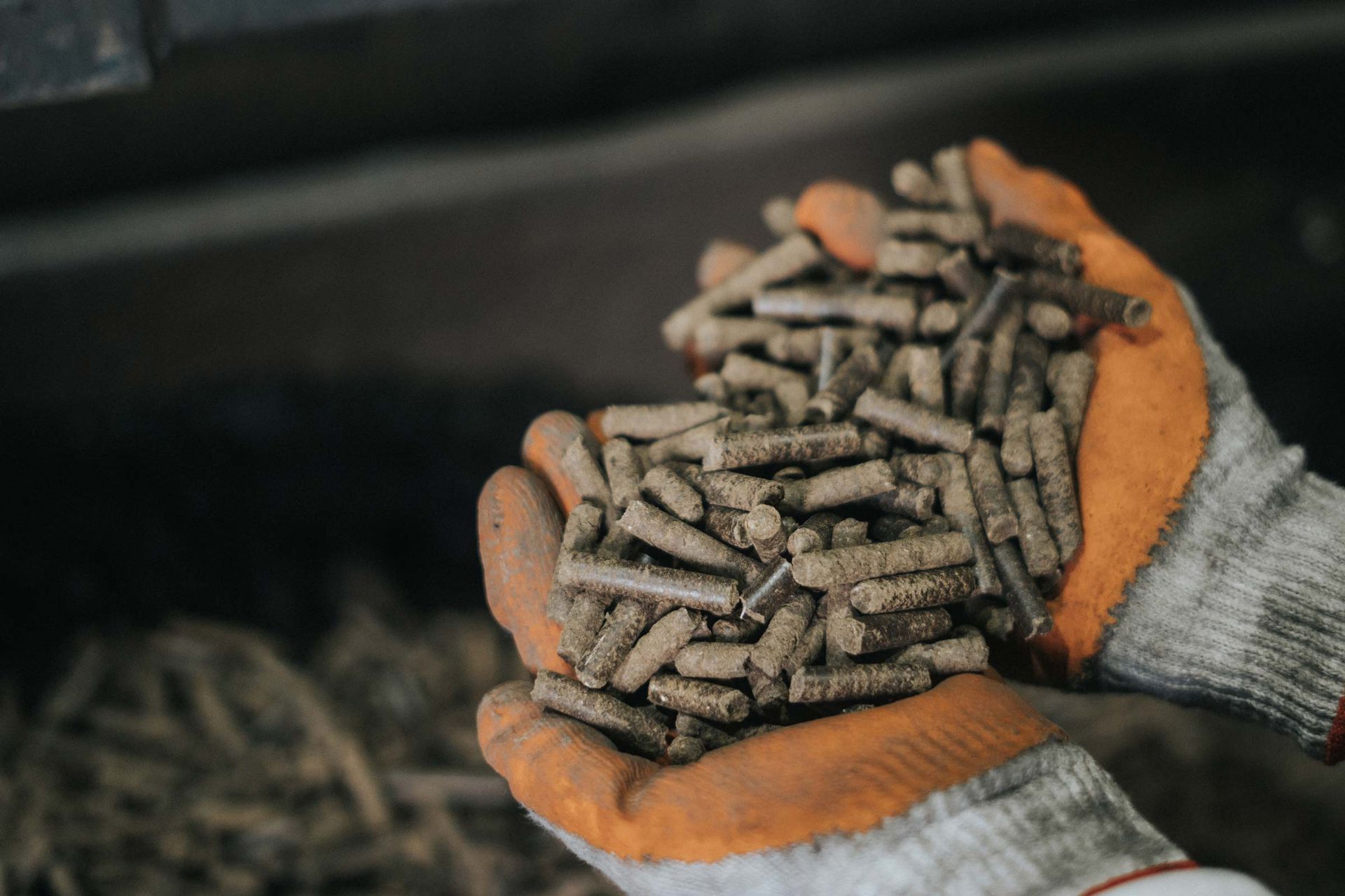 SG Digest: Verta Bioenergy, Mamame bag seed funding