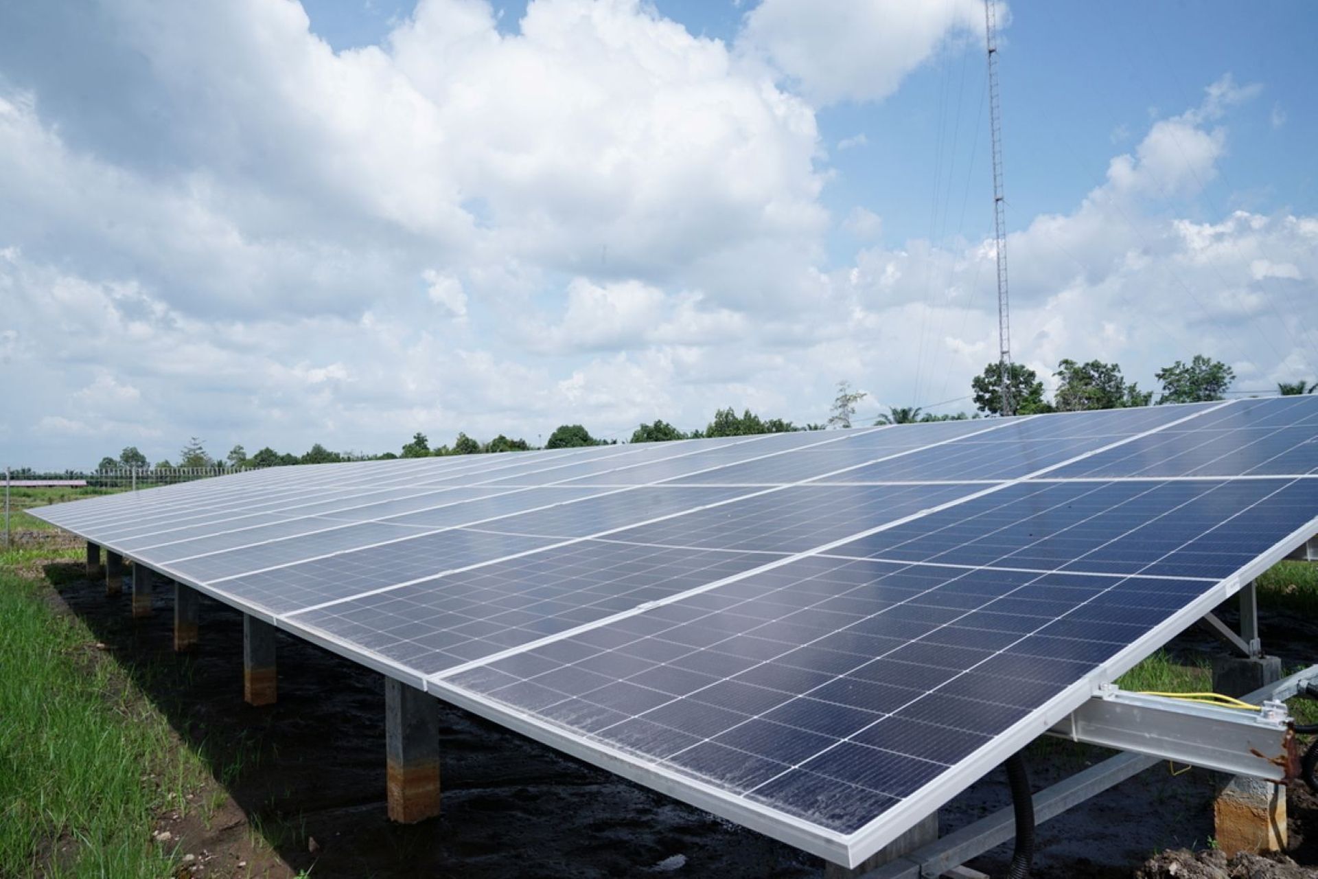Indonesian solar energy firm Xurya's losses widen in 2024 as revenue dips