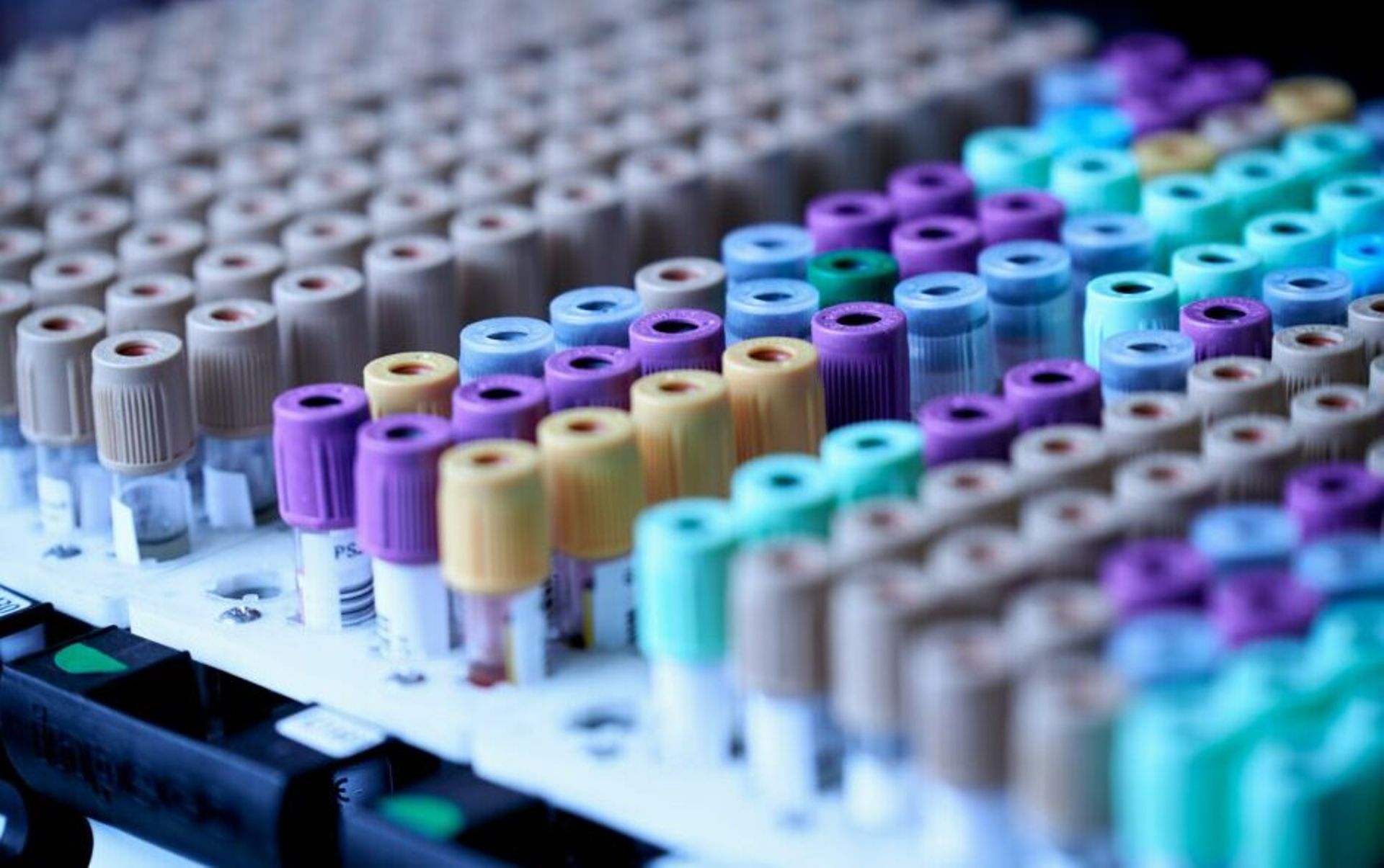 Temasek's ClavystBio bets on AI to generate 2-3x returns from biotech