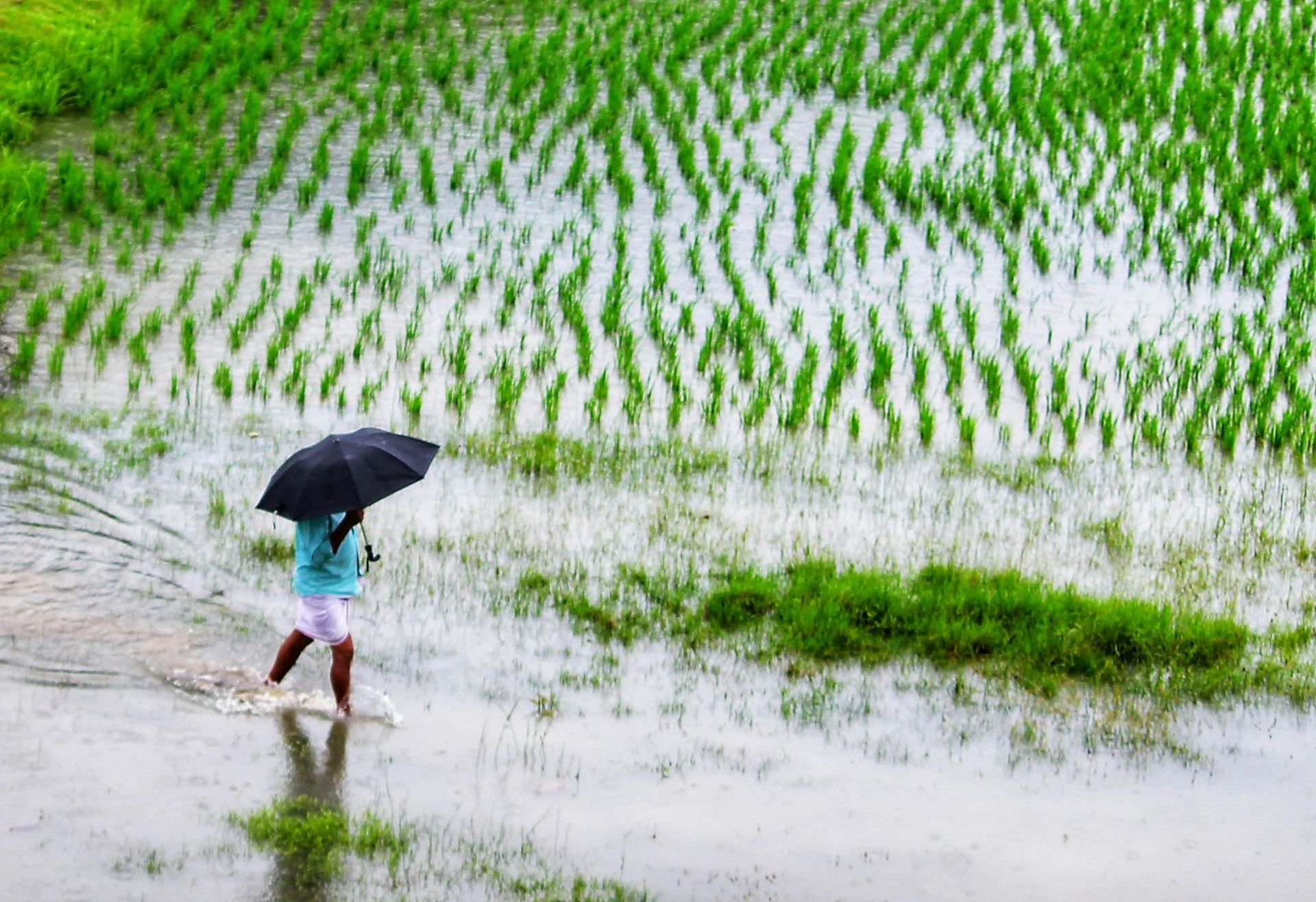 OJK completes probe into Crowde’s alleged fraud case