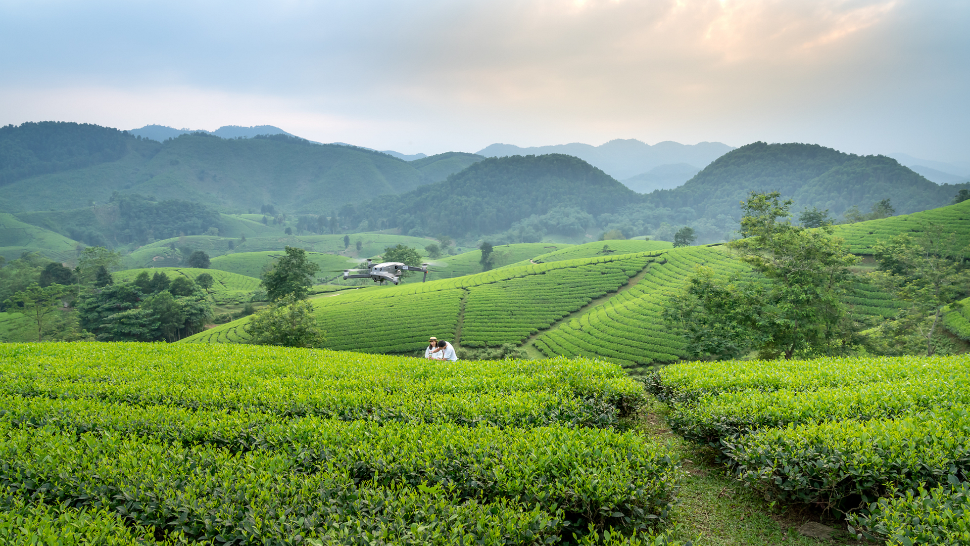 Swedfund backs Vietnam's EVF General Finance with $20m sustainability loan