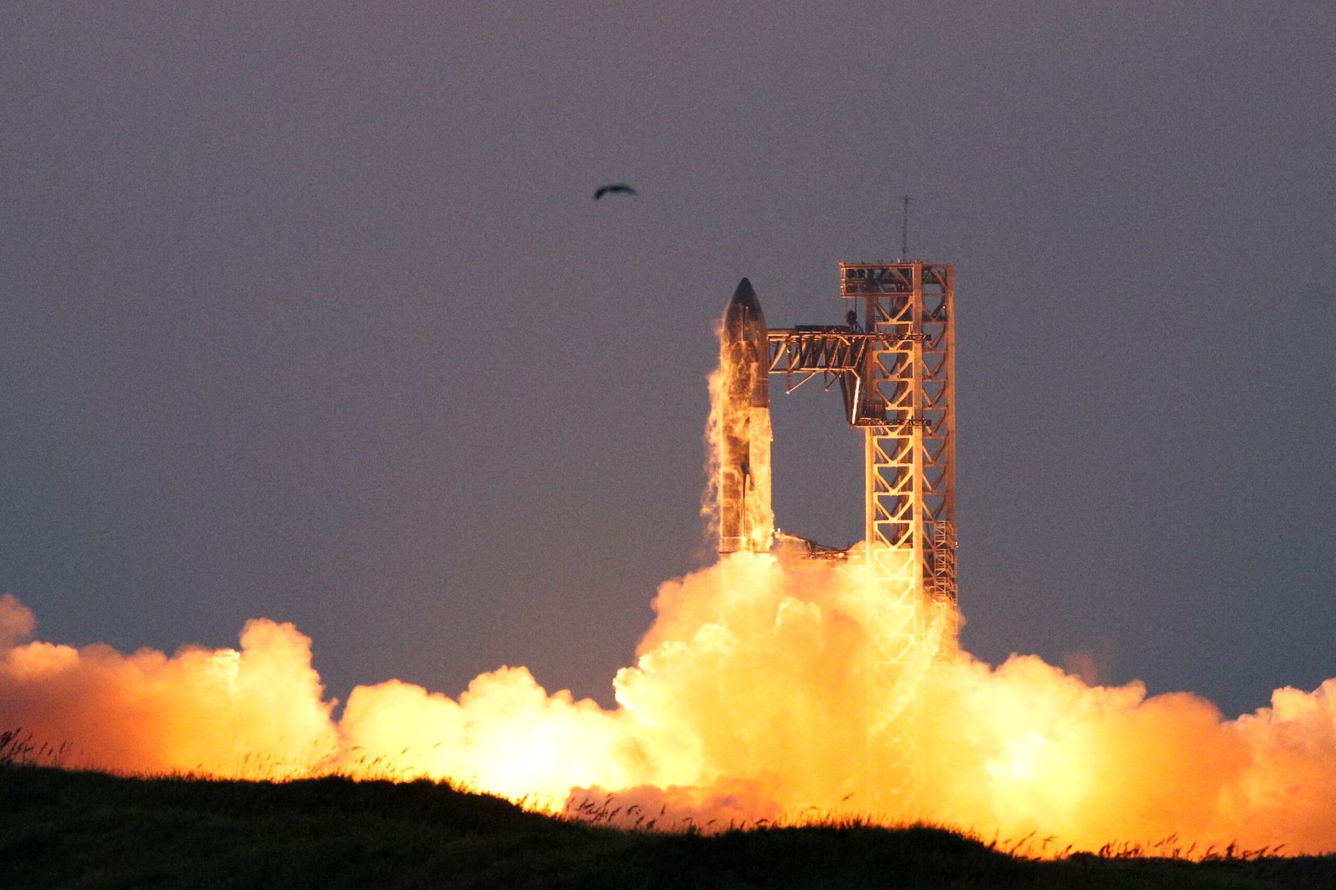 SpaceX weighs merger with other Musk companies ahead of IPO