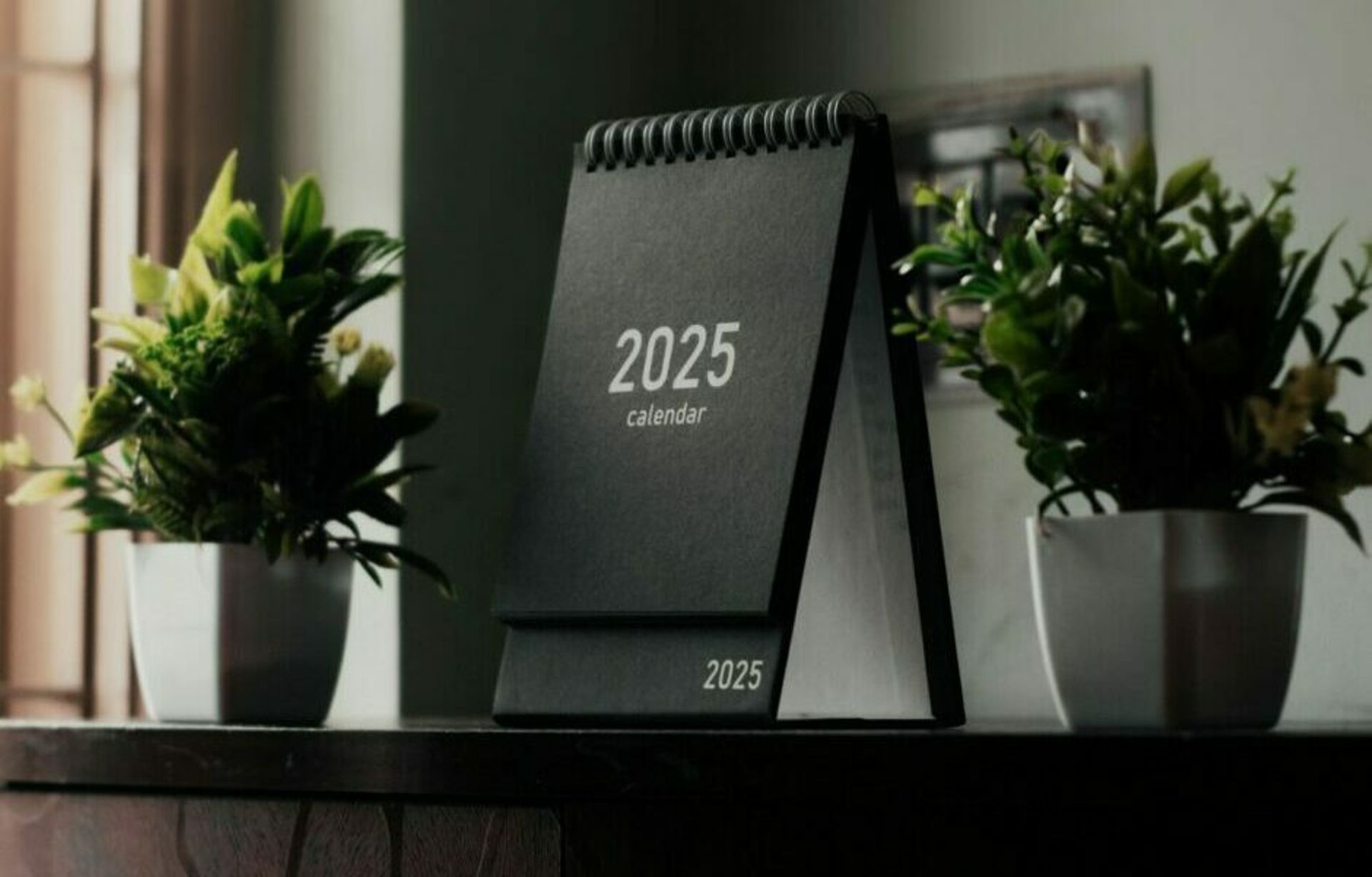 A look back at our top stories from 2025