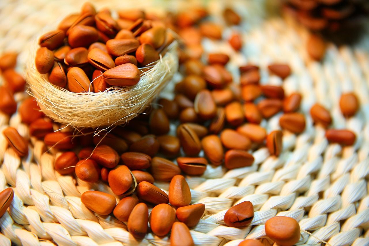 India: Clean-label health food brand The Whole Truth raises $51m Series D