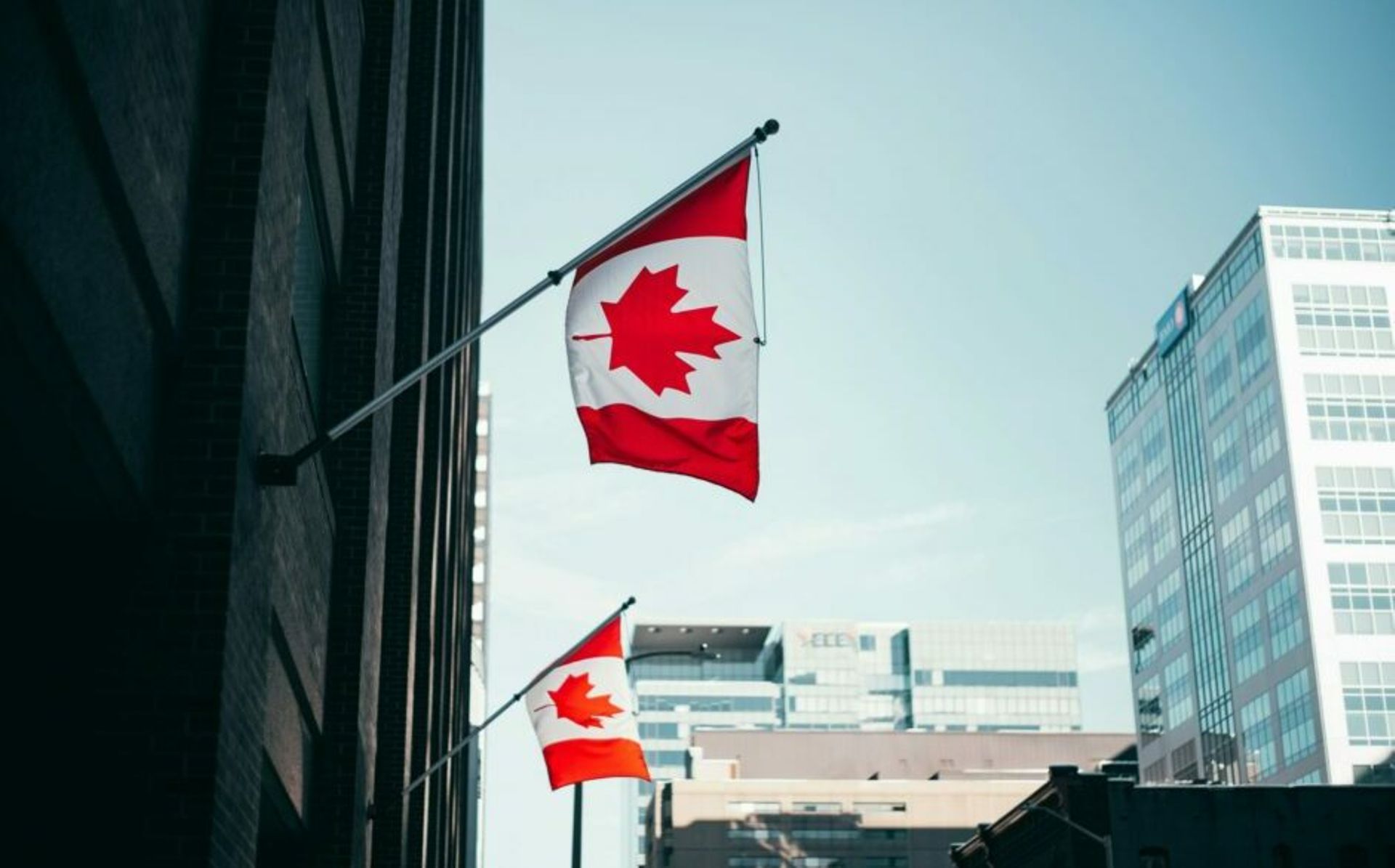 CPP Investments expands India, Japan footprints as assets hit $580b