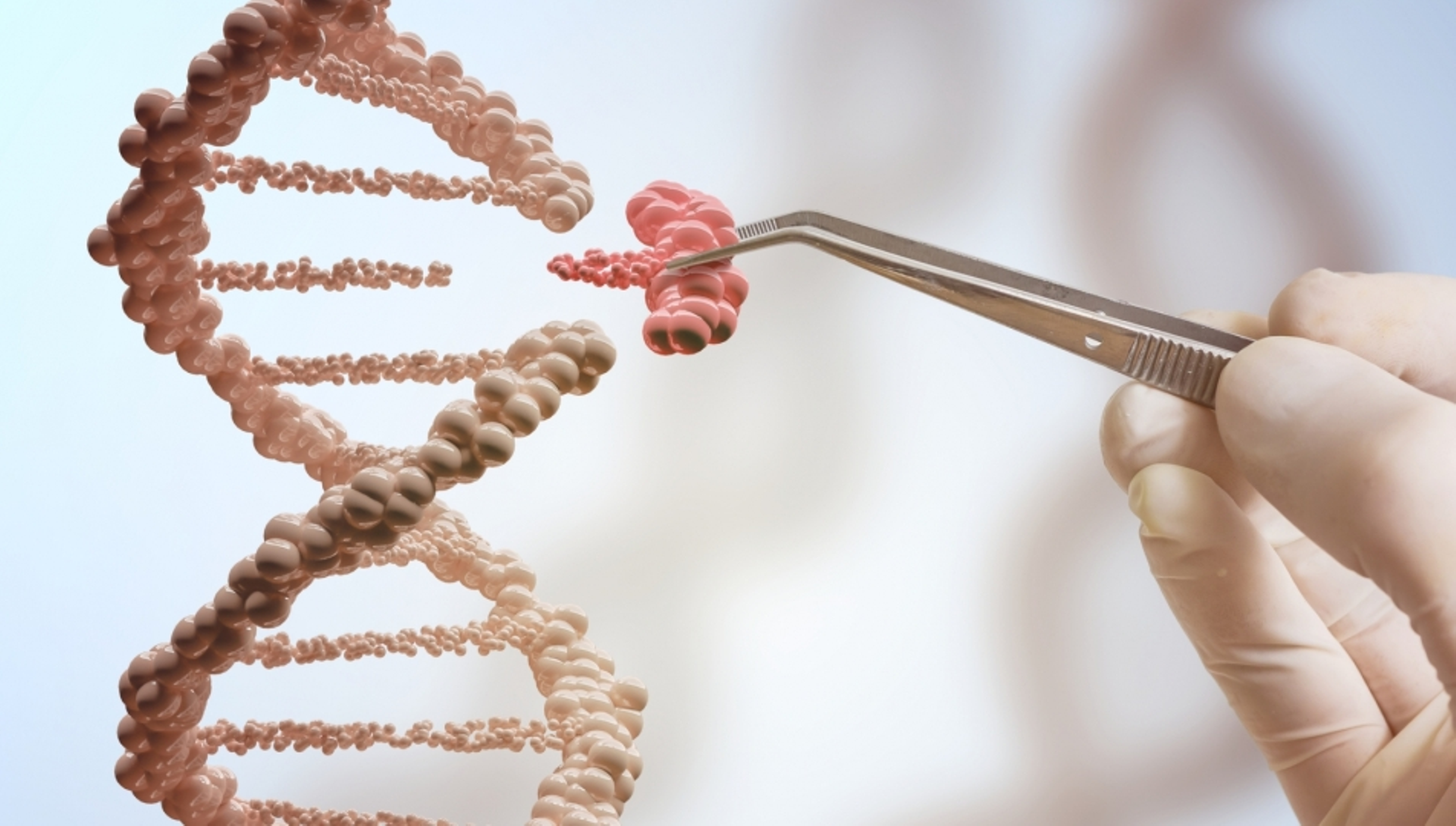 Immuno Cure may file for HK listing in H2 after pre-IPO round